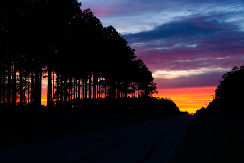 a road with trees on the side