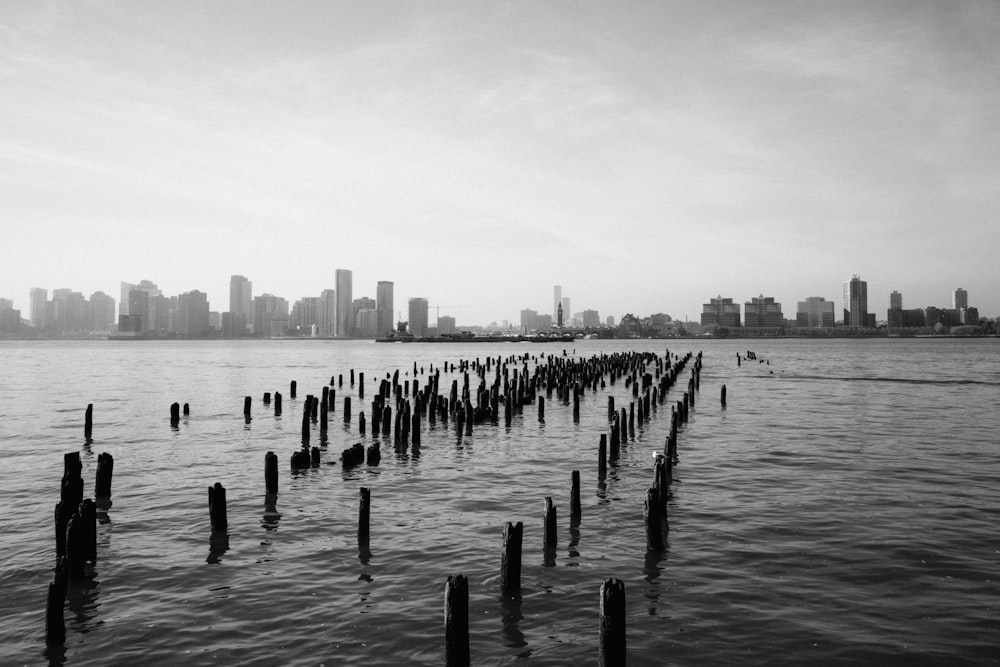 a body of water with a city in the background