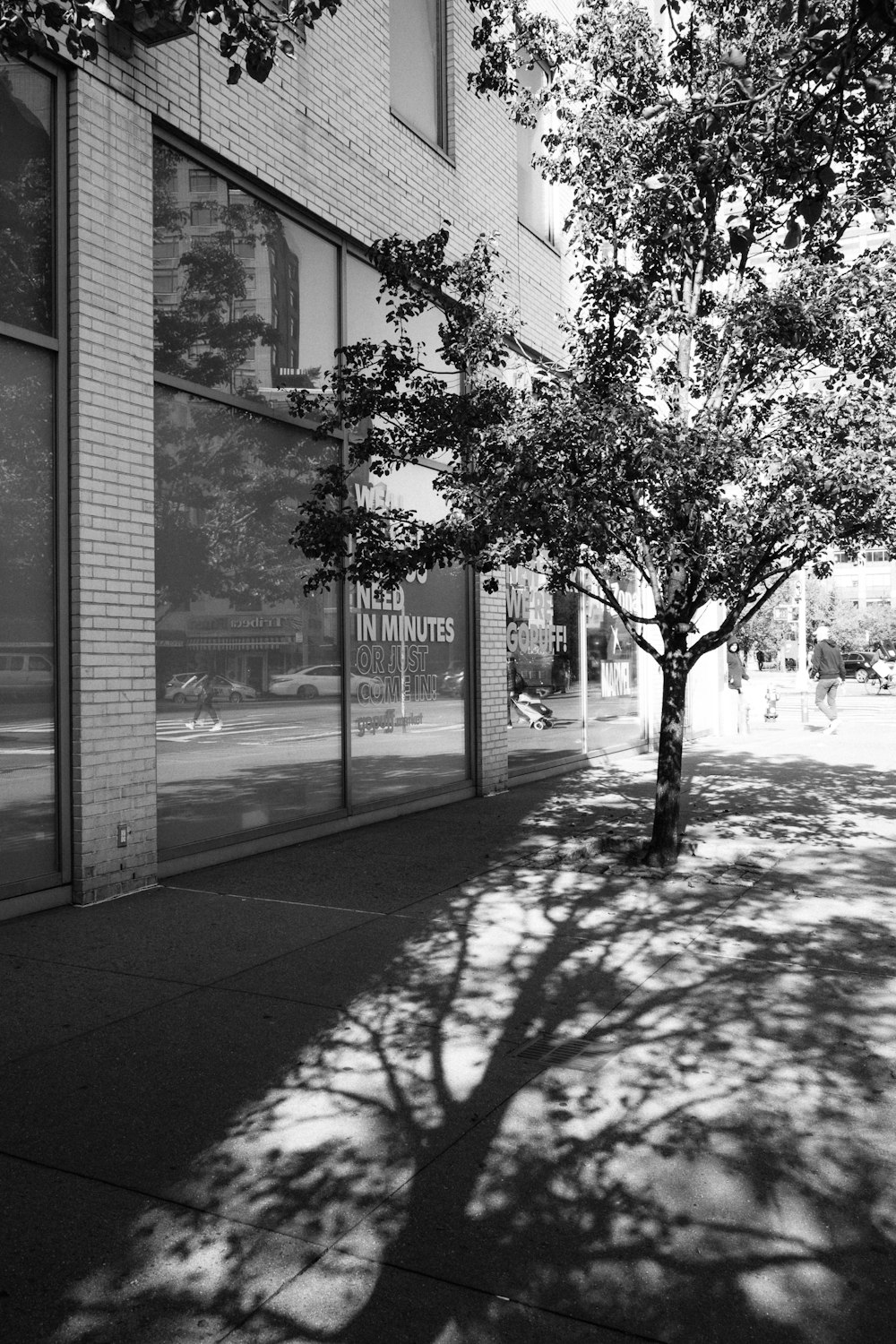 a tree next to a building