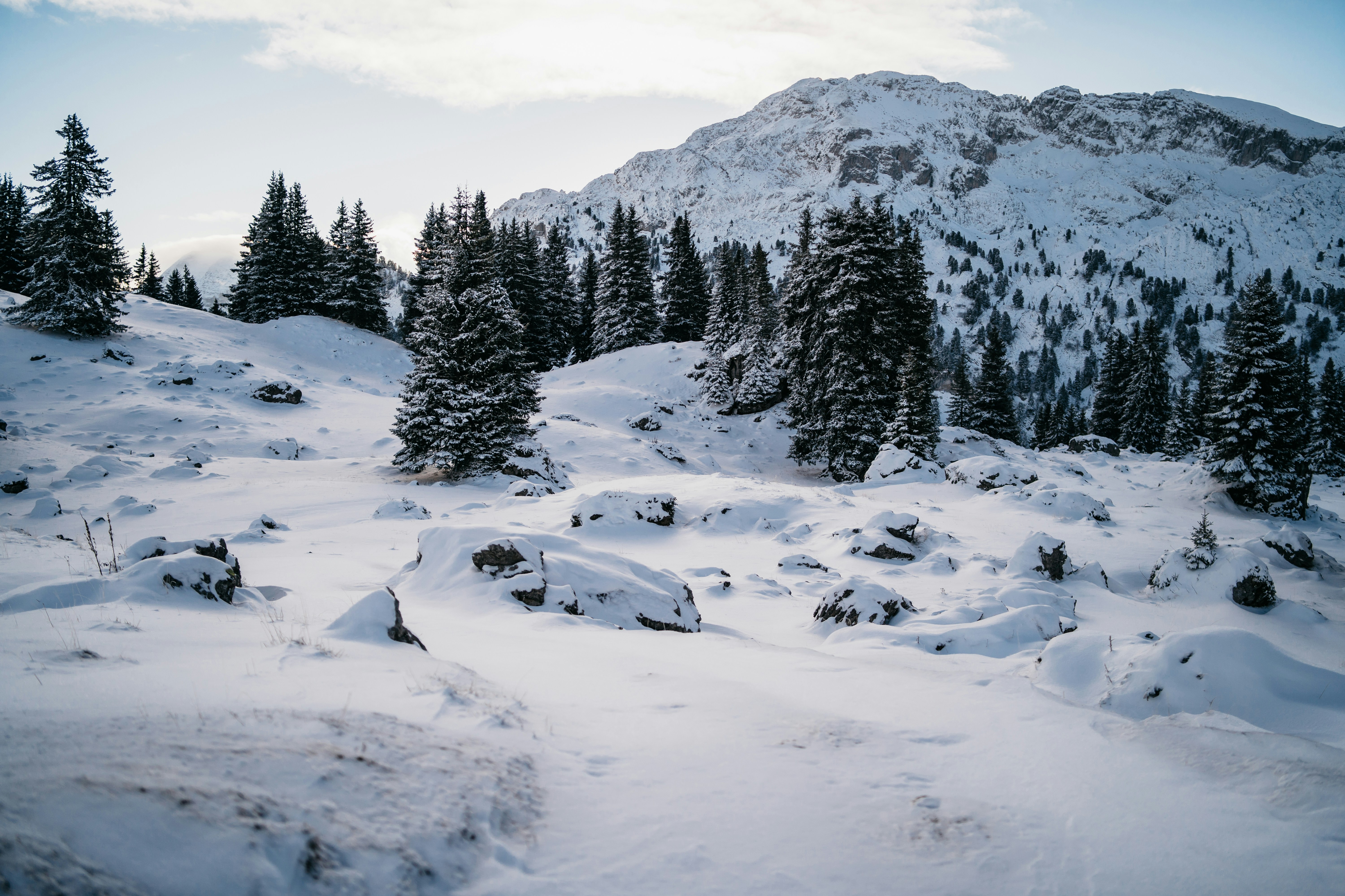 Photo by benaja_photos