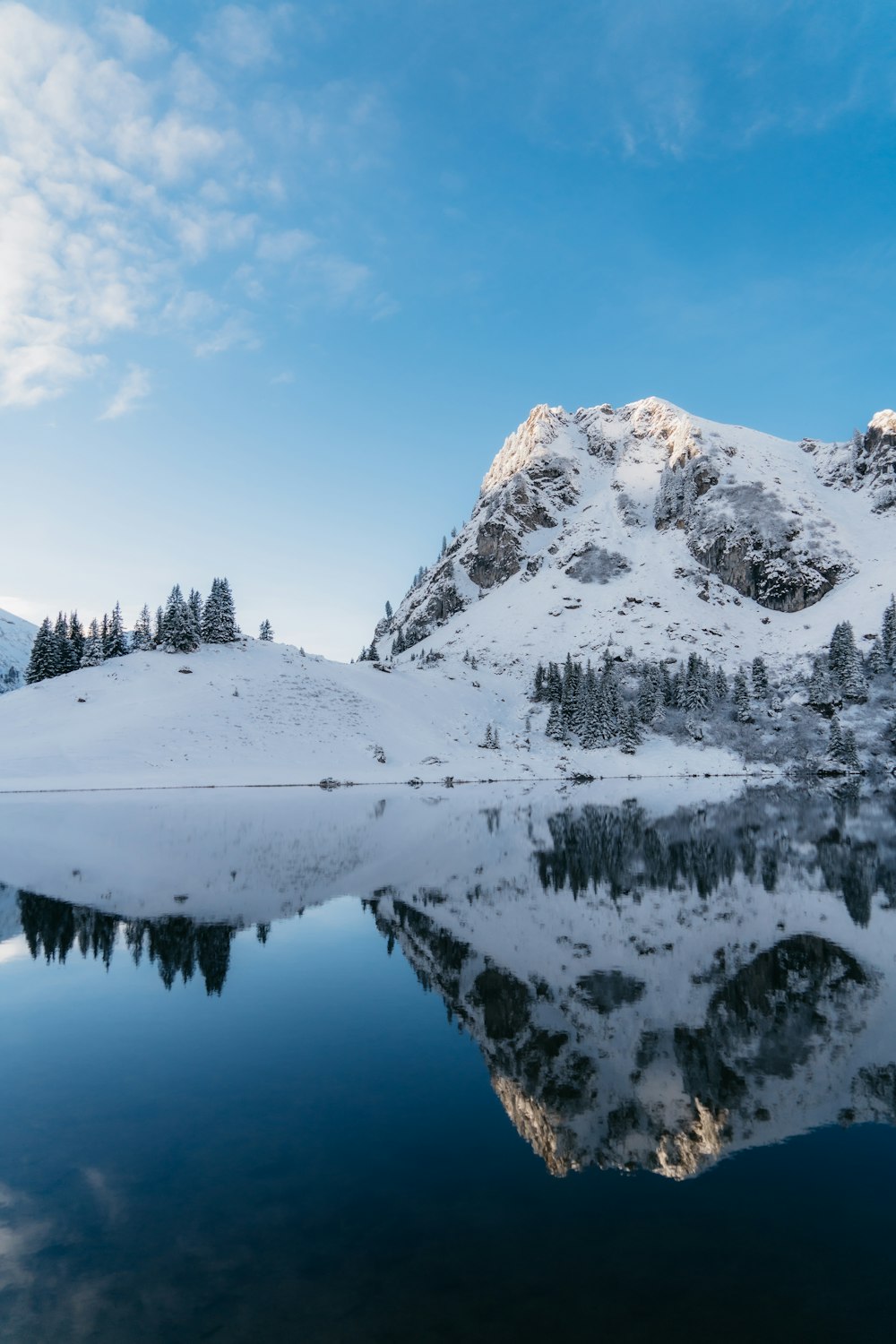 a snowy mountain with trees and a body of water below