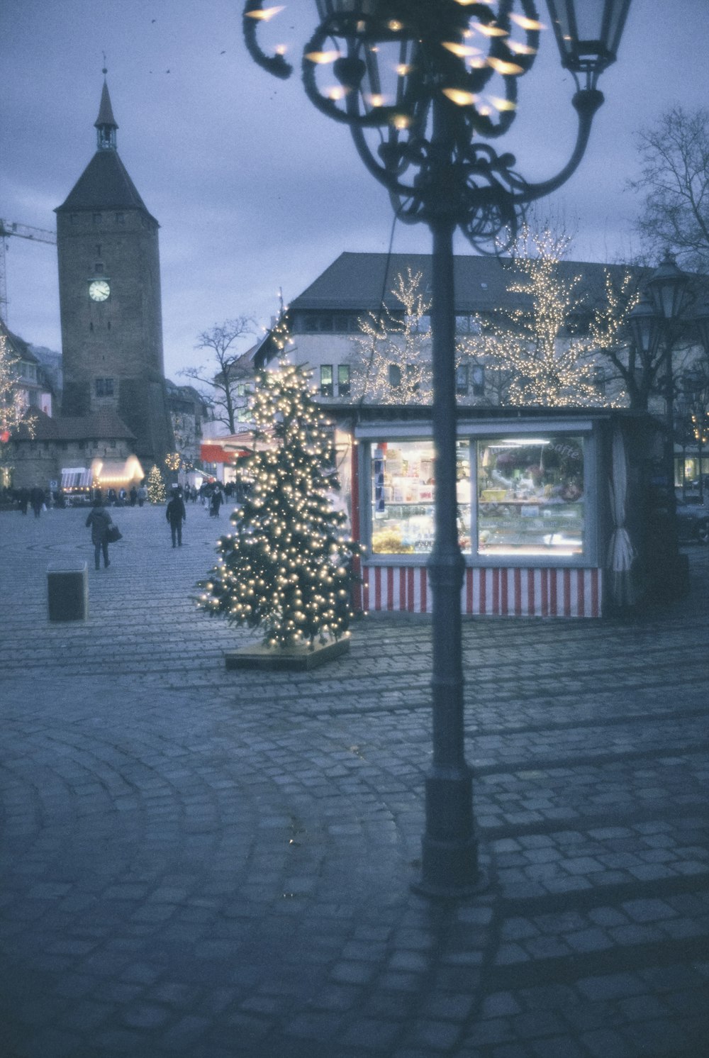 un árbol con luces