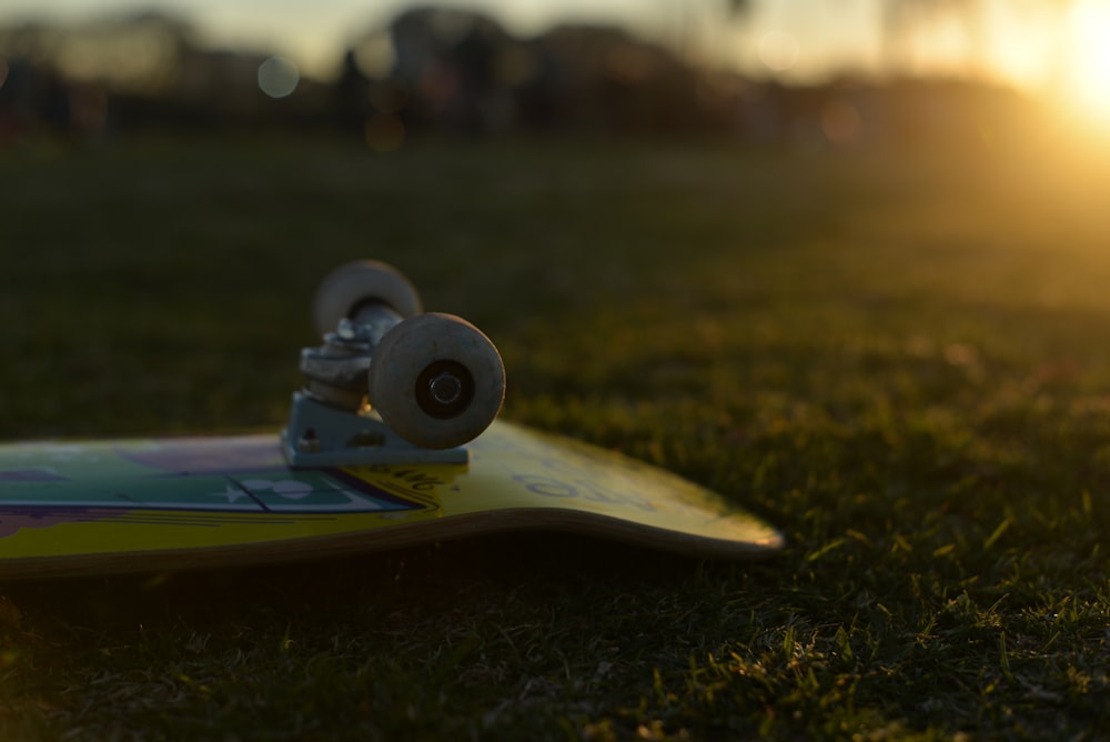 a skateboard on the grass