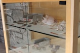 A glass display cabinet contains a collection of seashells and fossilized objects. The top shelf features large conch shells with intricate patterns, while the bottom shelf has various fossils, possibly ammonites or similar types, organized neatly. Small informational cards accompany each item, suggesting a museum or educational setting. The background is a stone wall, adding a naturalistic texture to the scene.