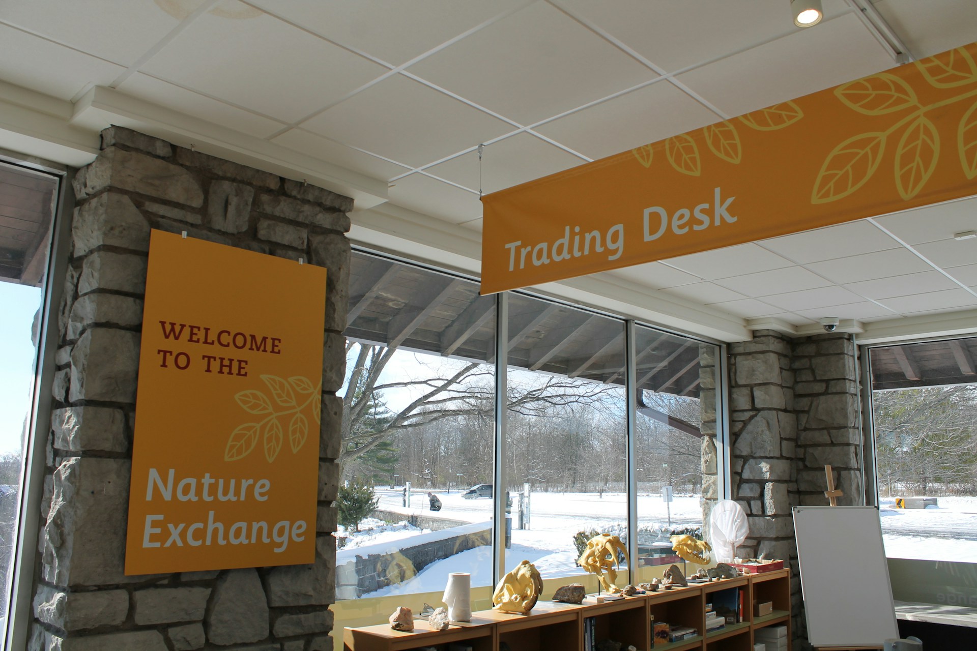 gray computer monitor