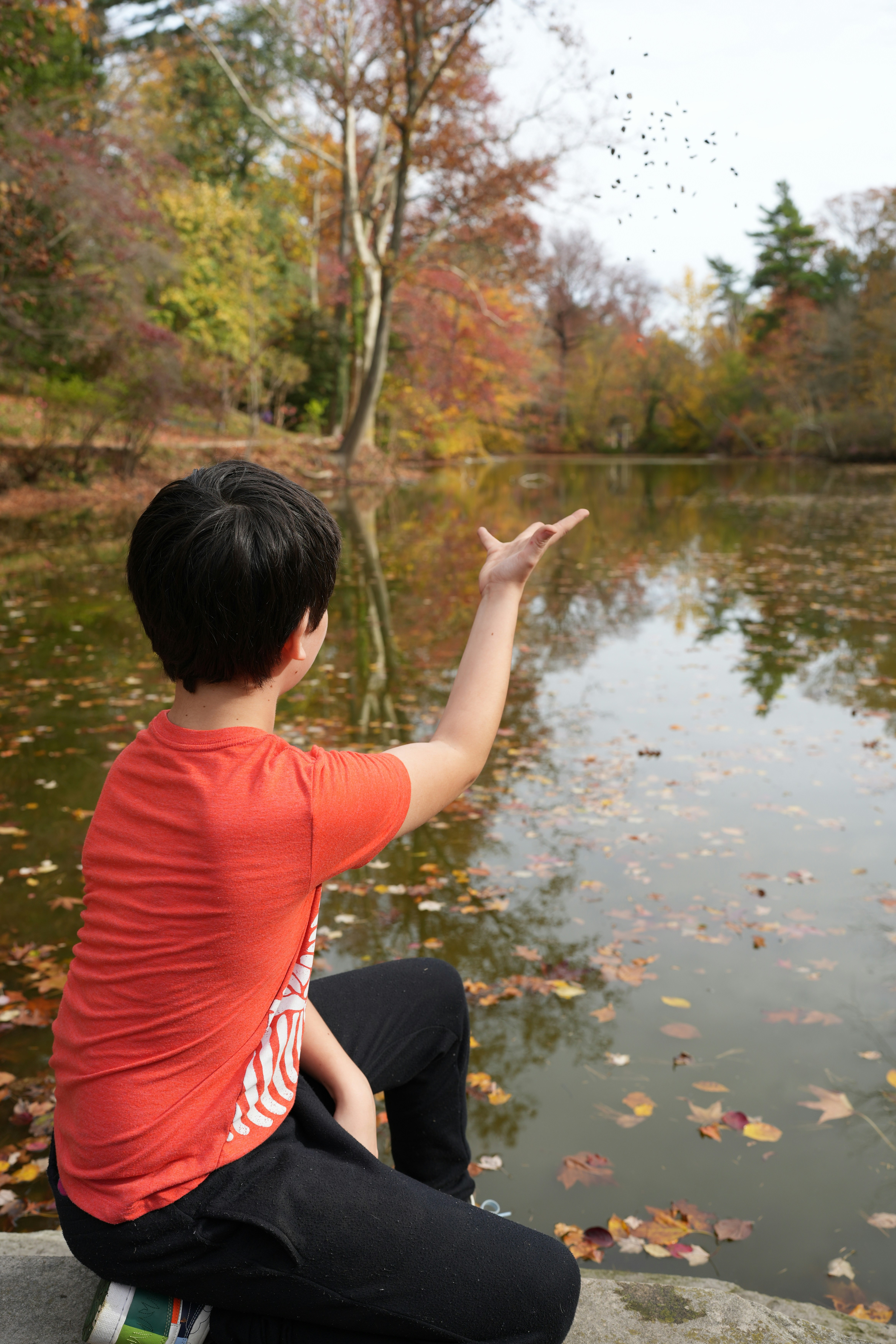 a boy sitting on a rock by a body of water