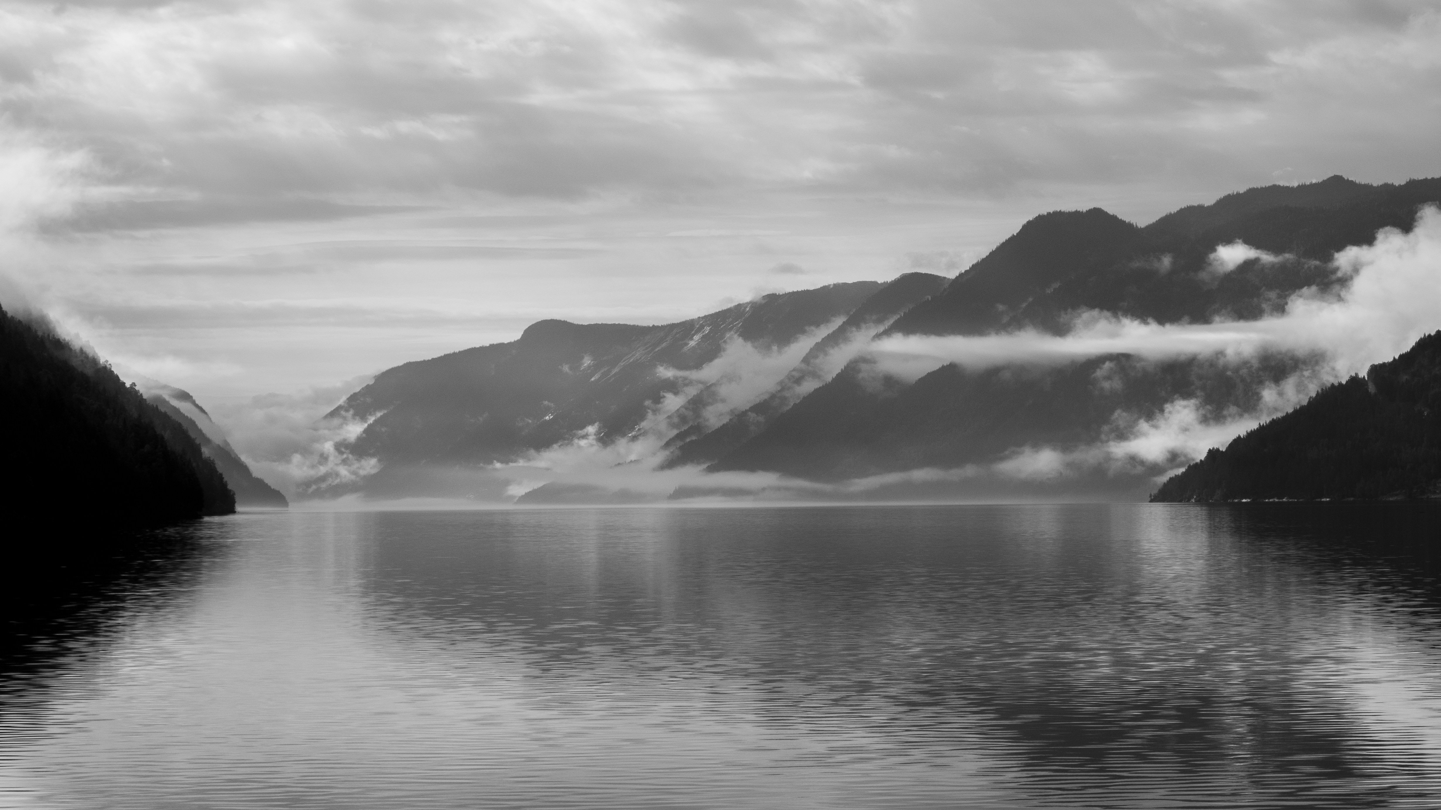 Photo by davotibarna