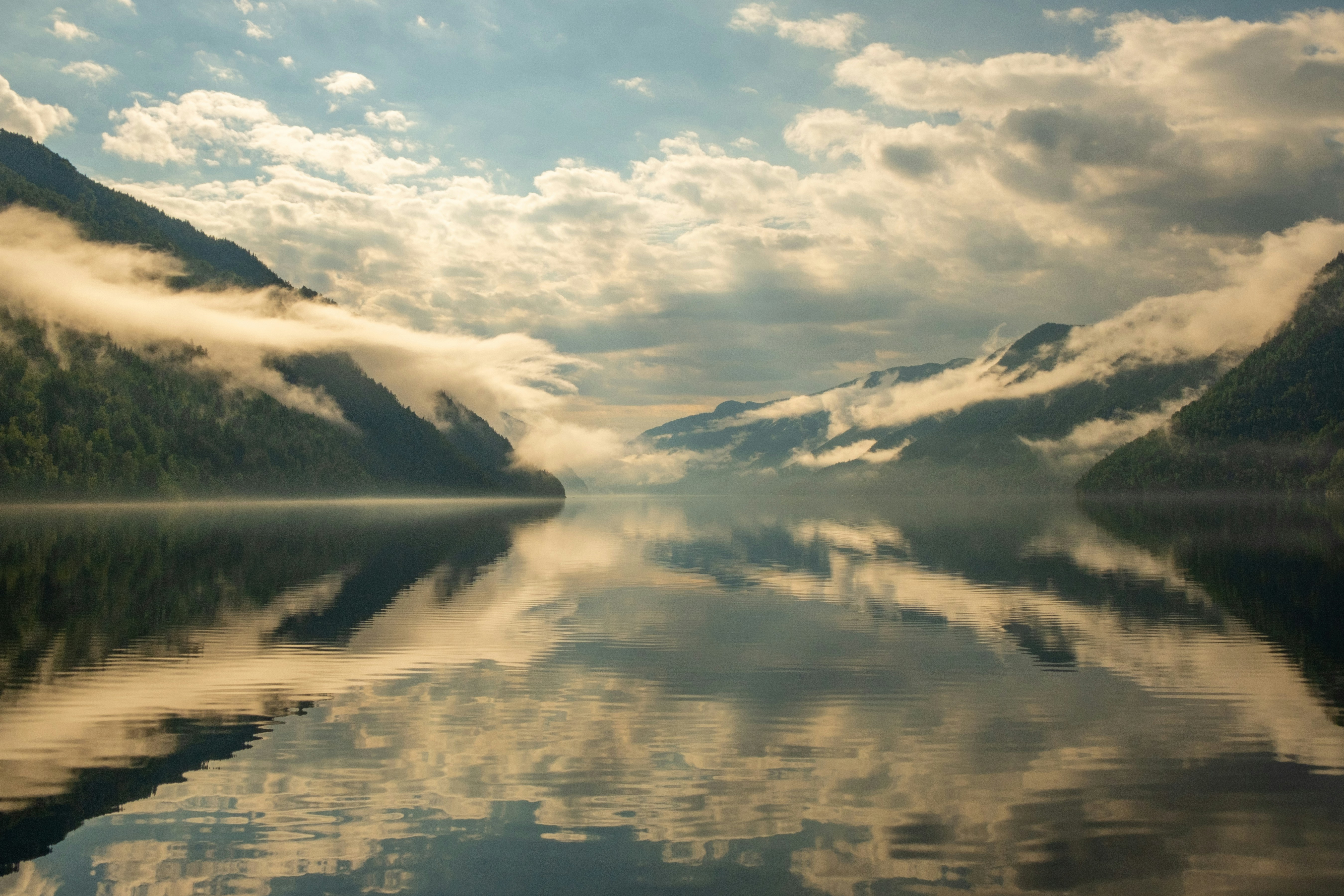 Photo by davotibarna