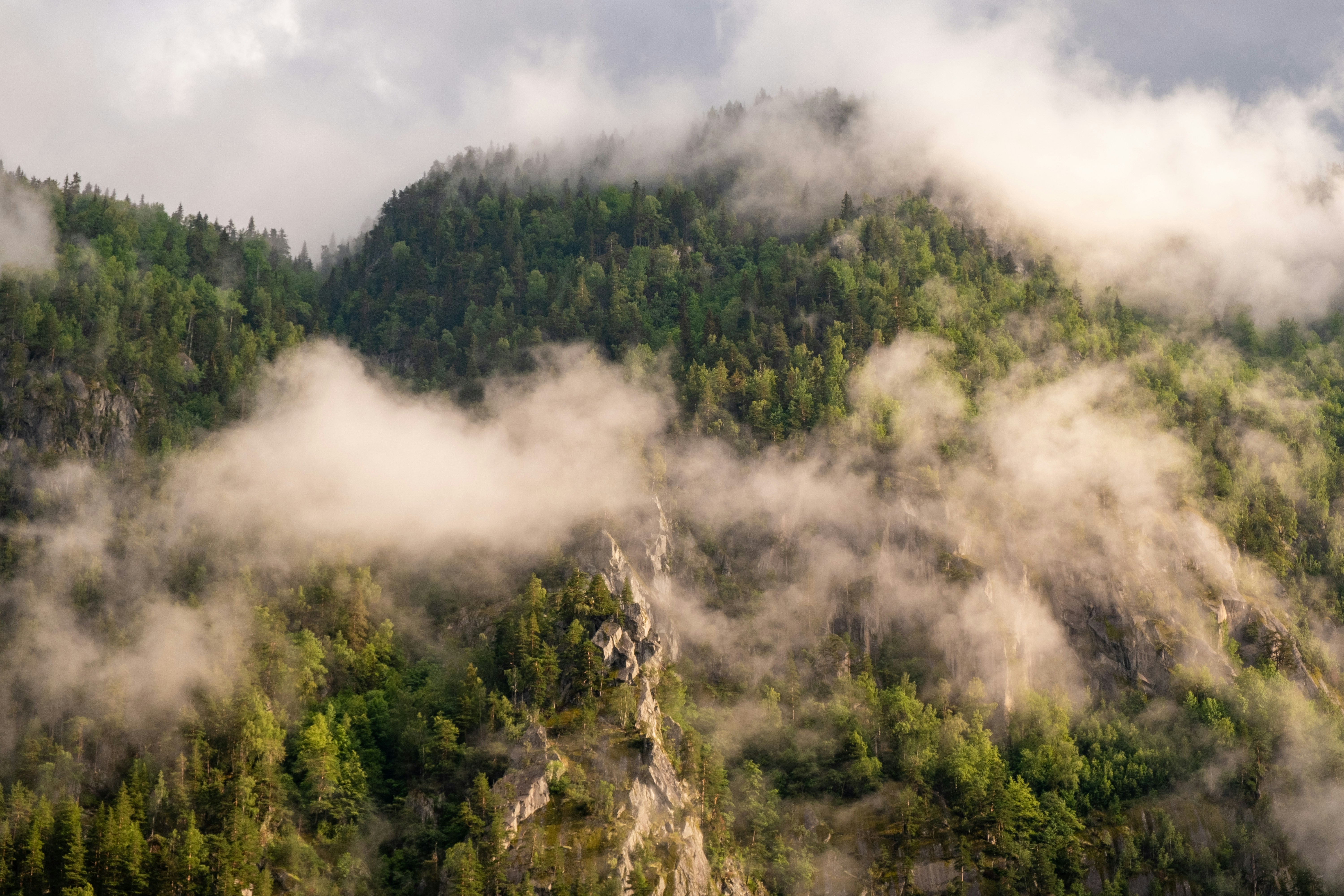 Photo by davotibarna