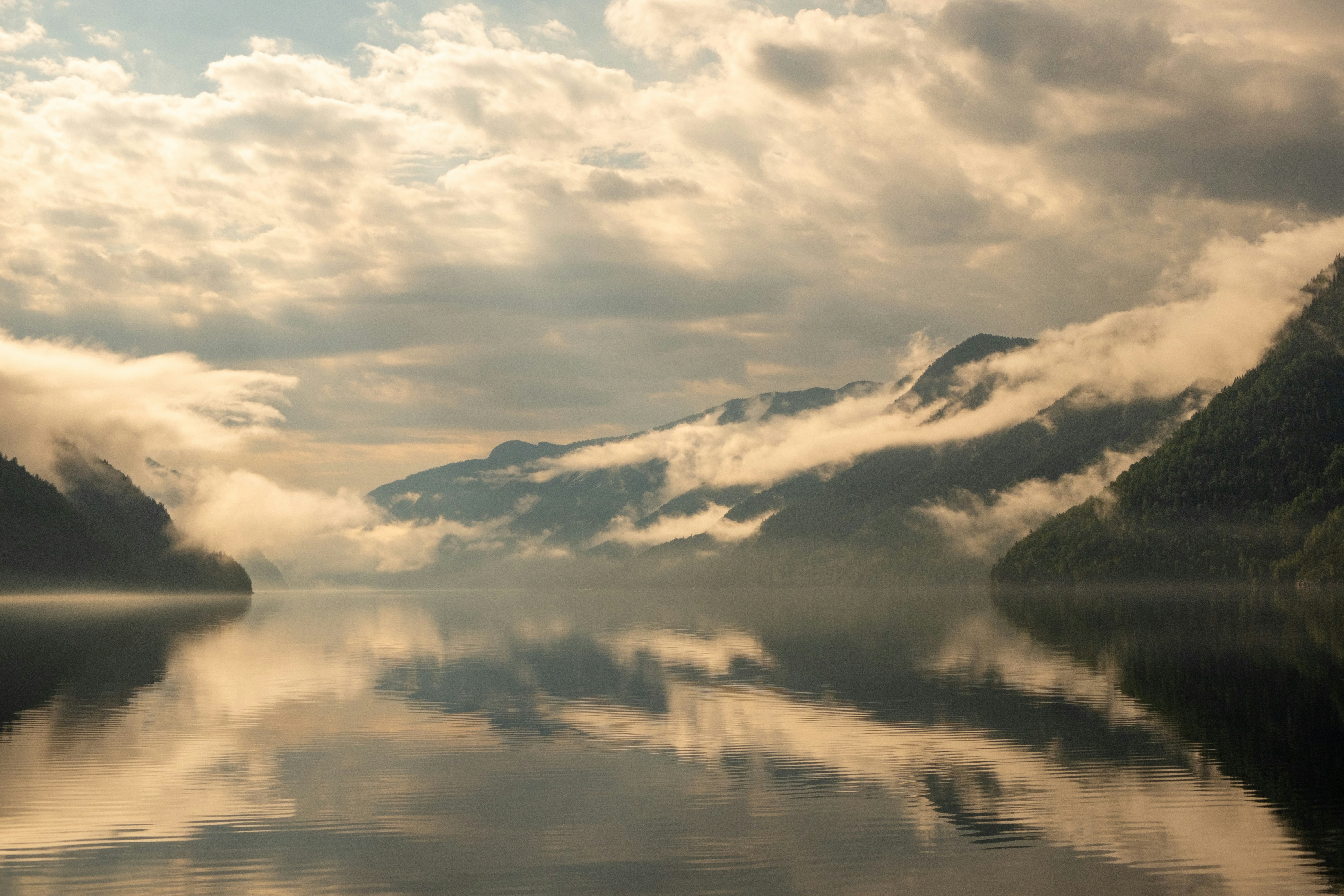 Photo by davotibarna