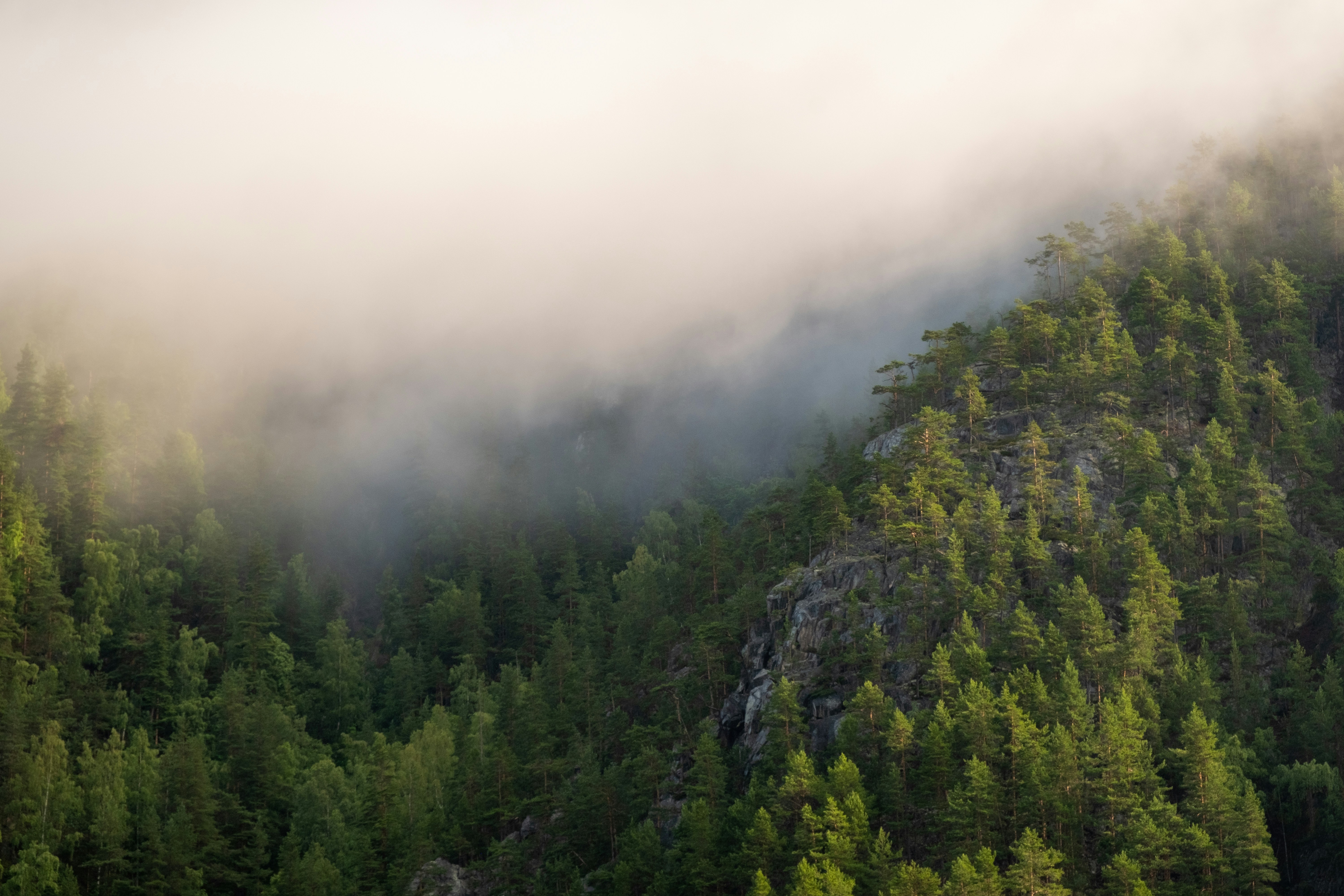 Photo by davotibarna