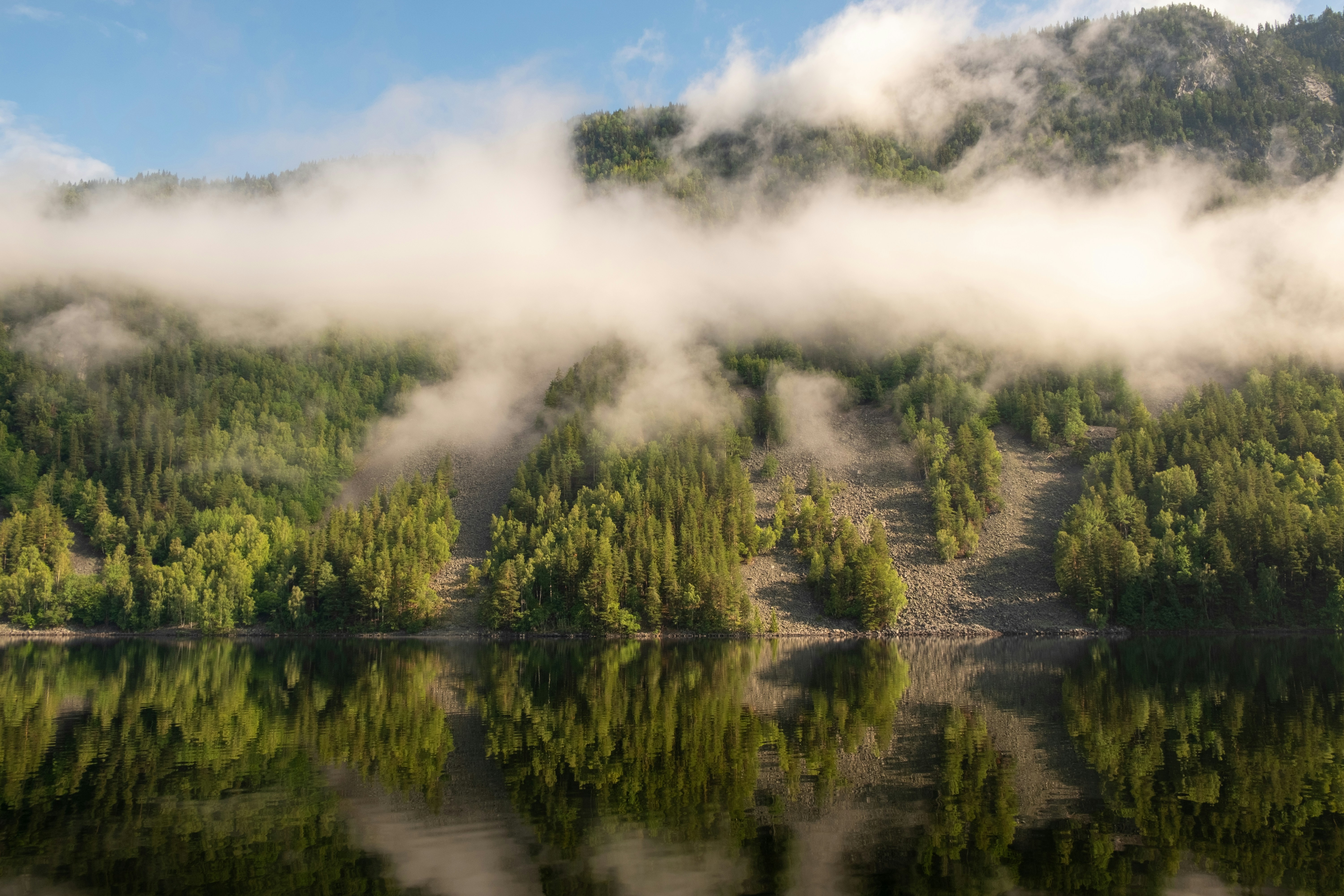 Photo by davotibarna