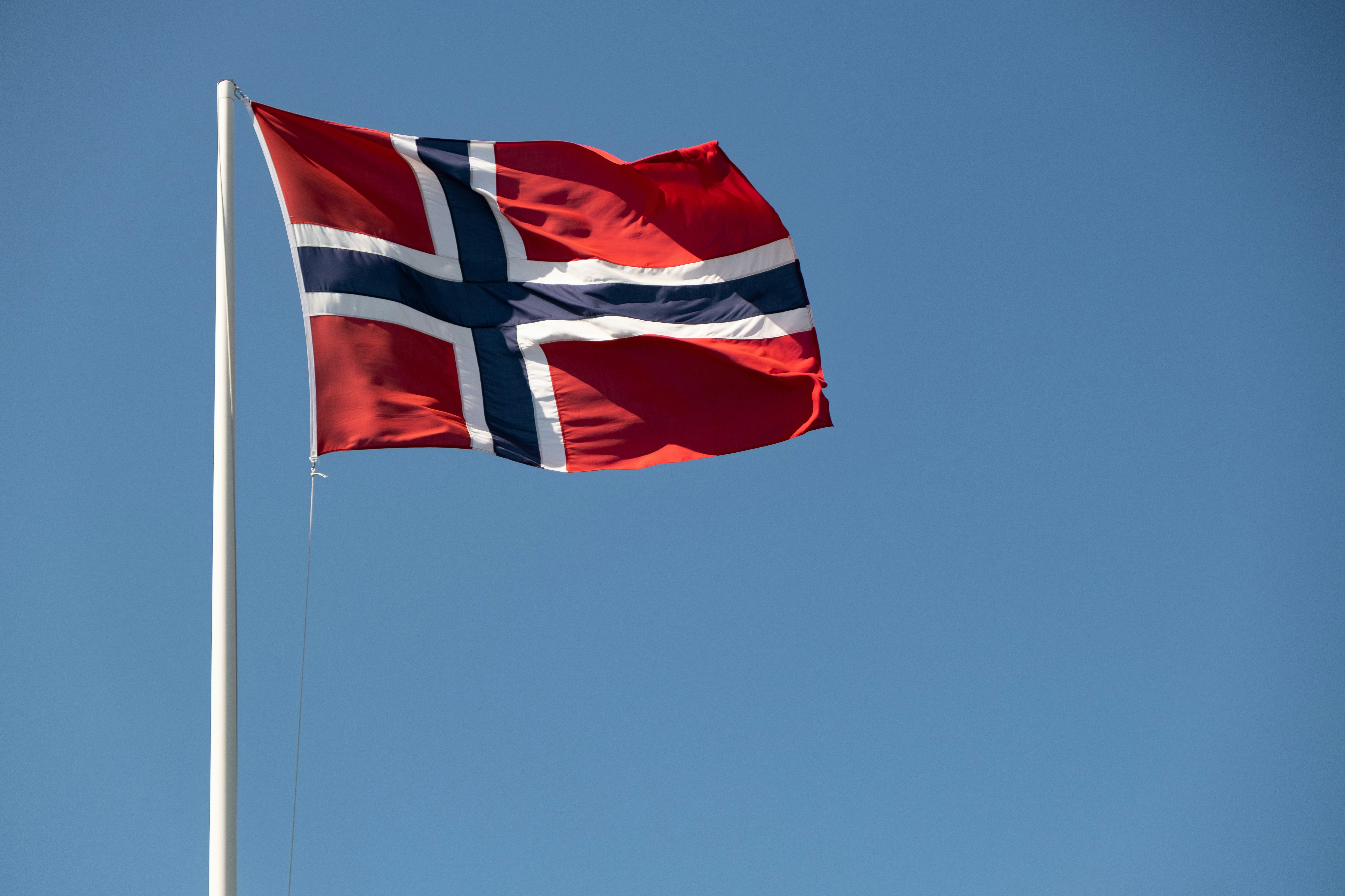 a flag on a flagpole
