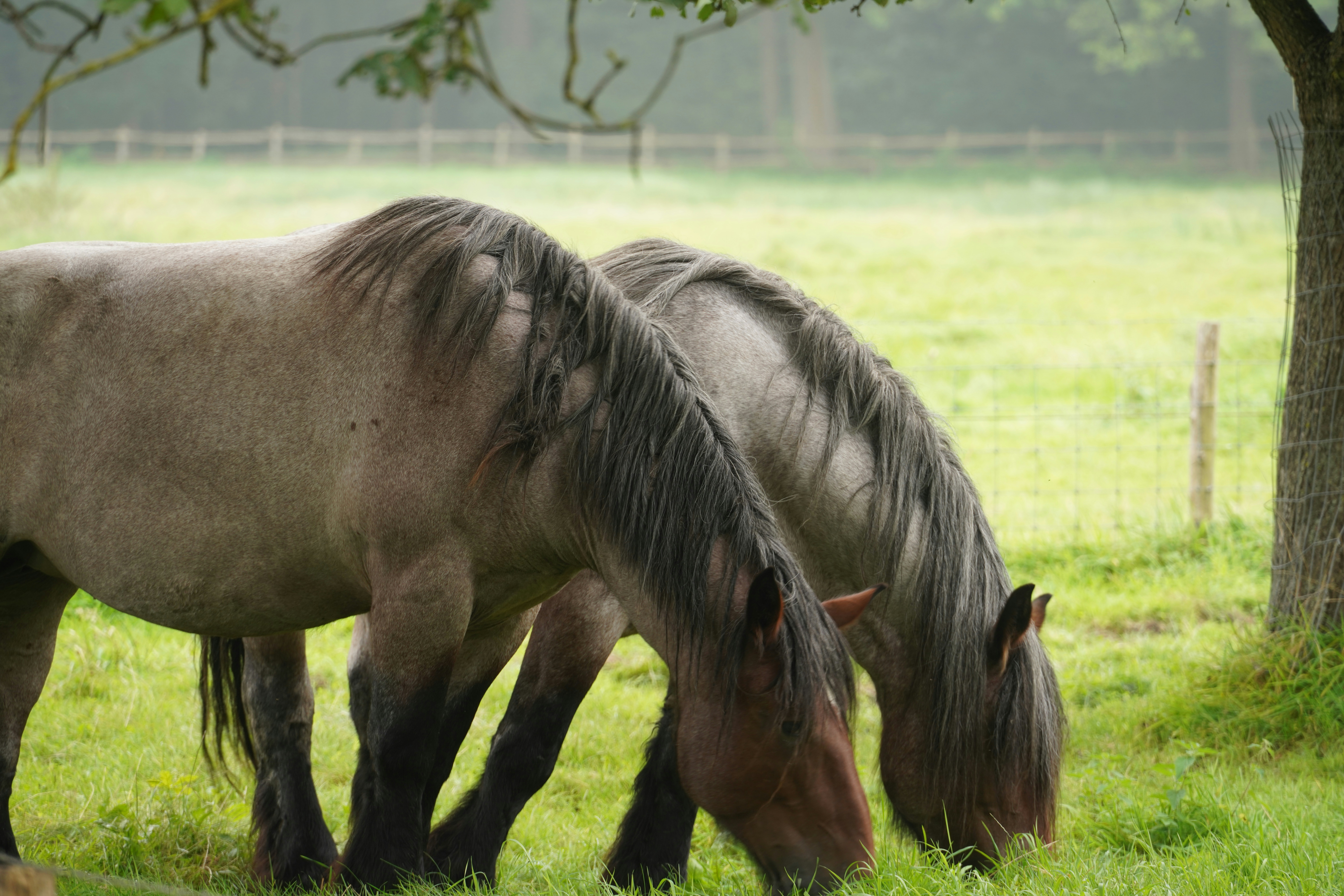 Photo by hooverpaul55