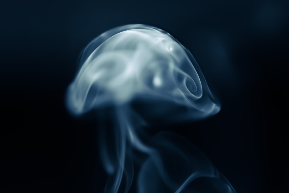 腦霧：大腦思維模糊的科學解析