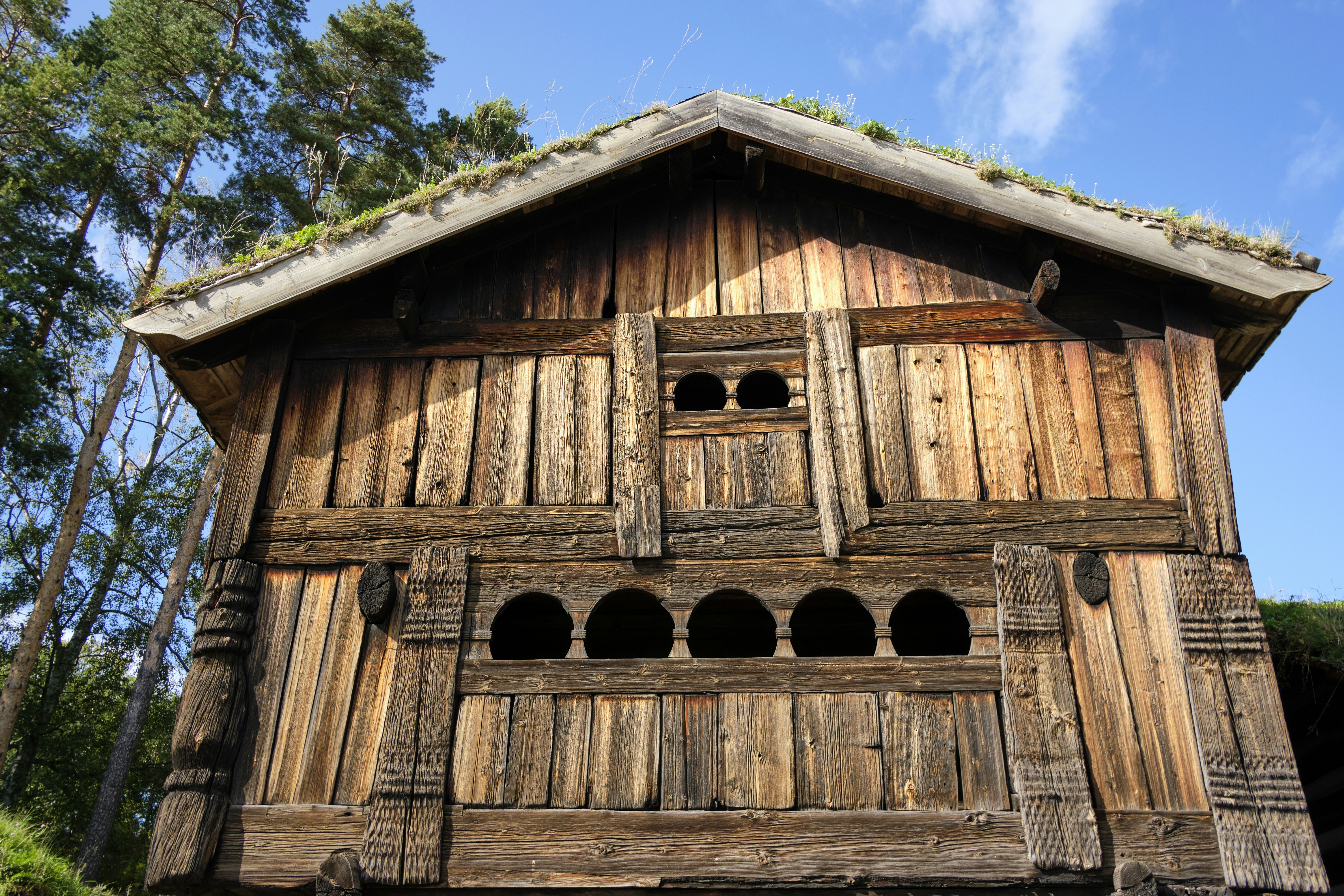 Photo by davotibarna