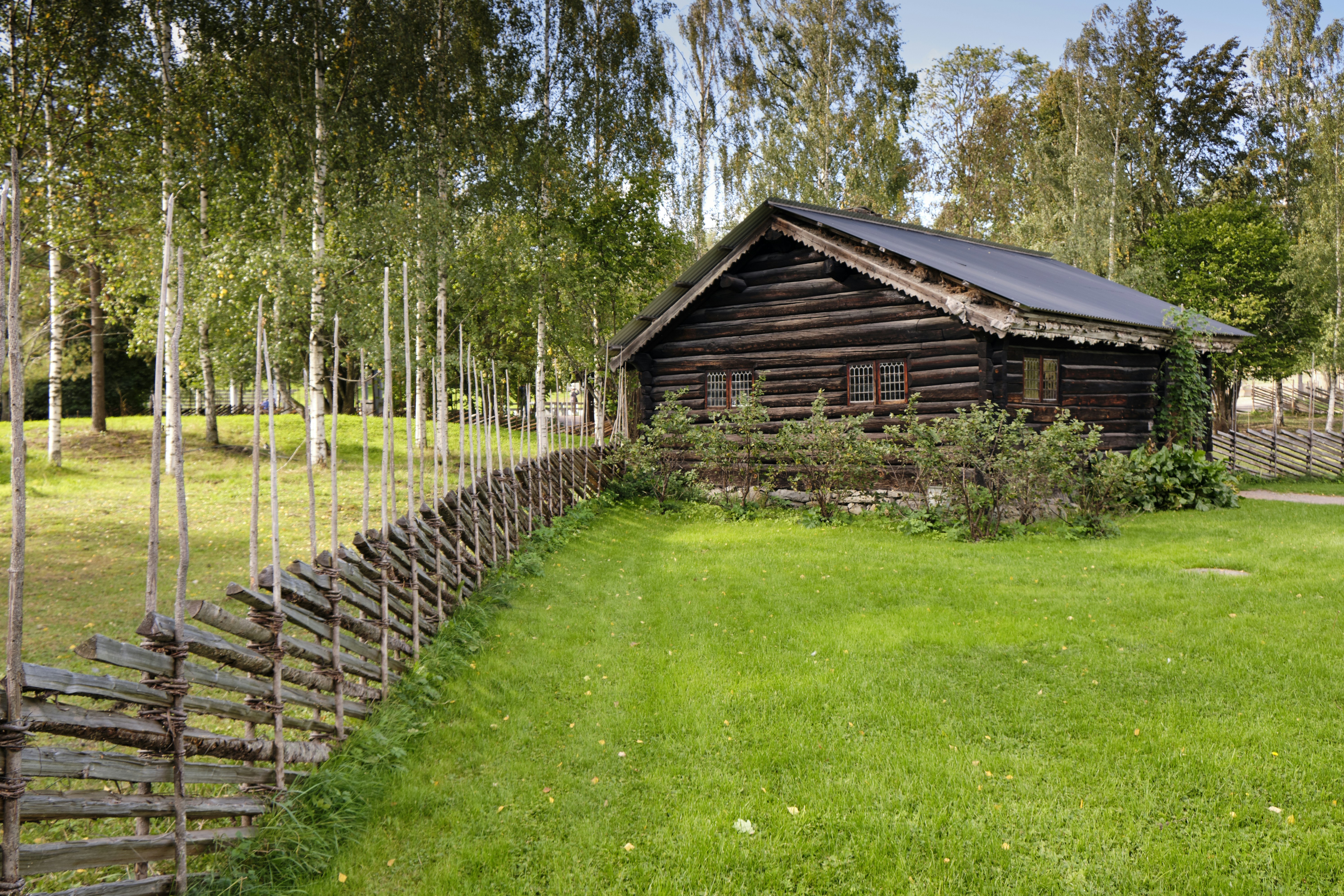 Photo by davotibarna