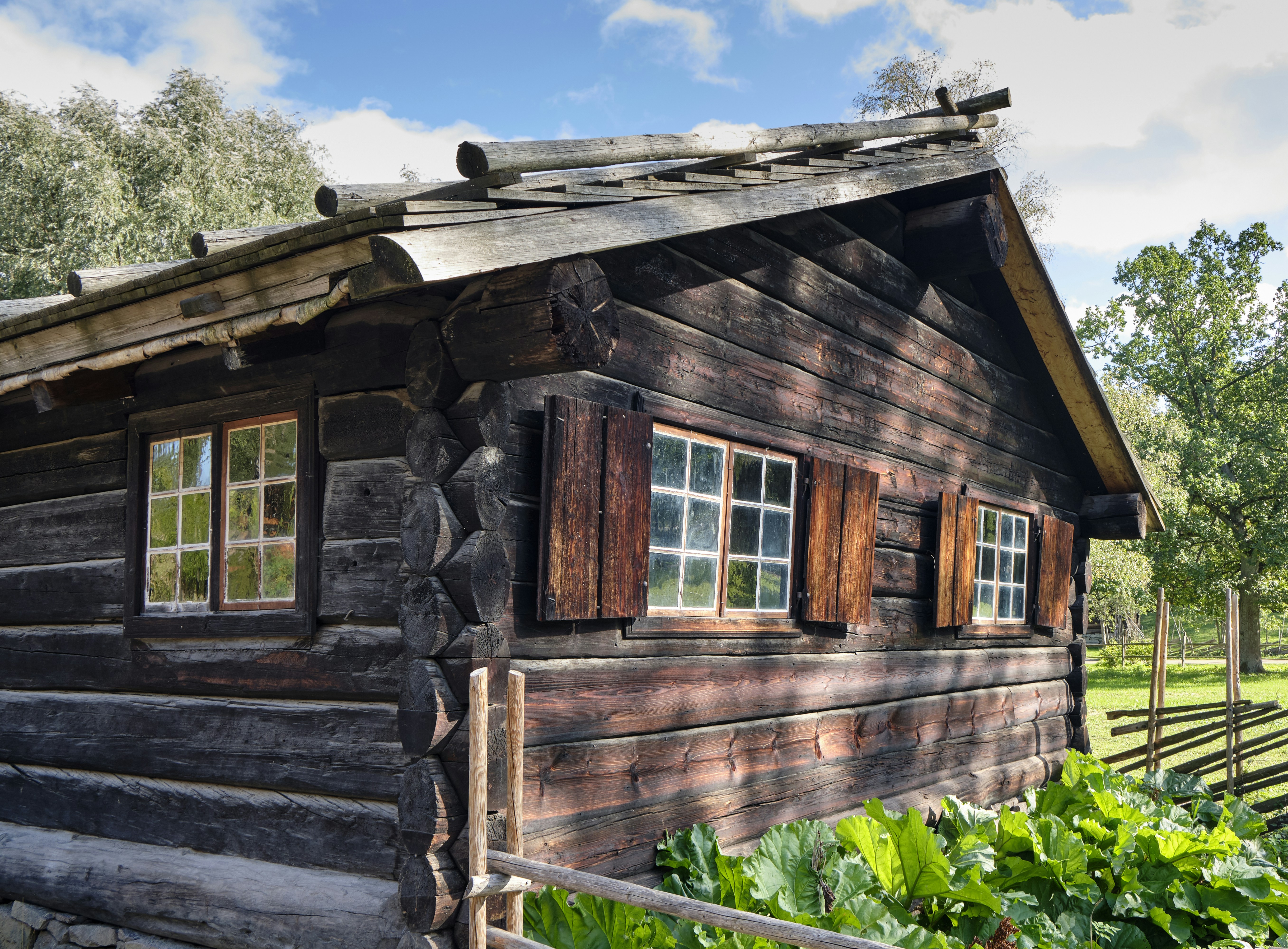 Photo by davotibarna