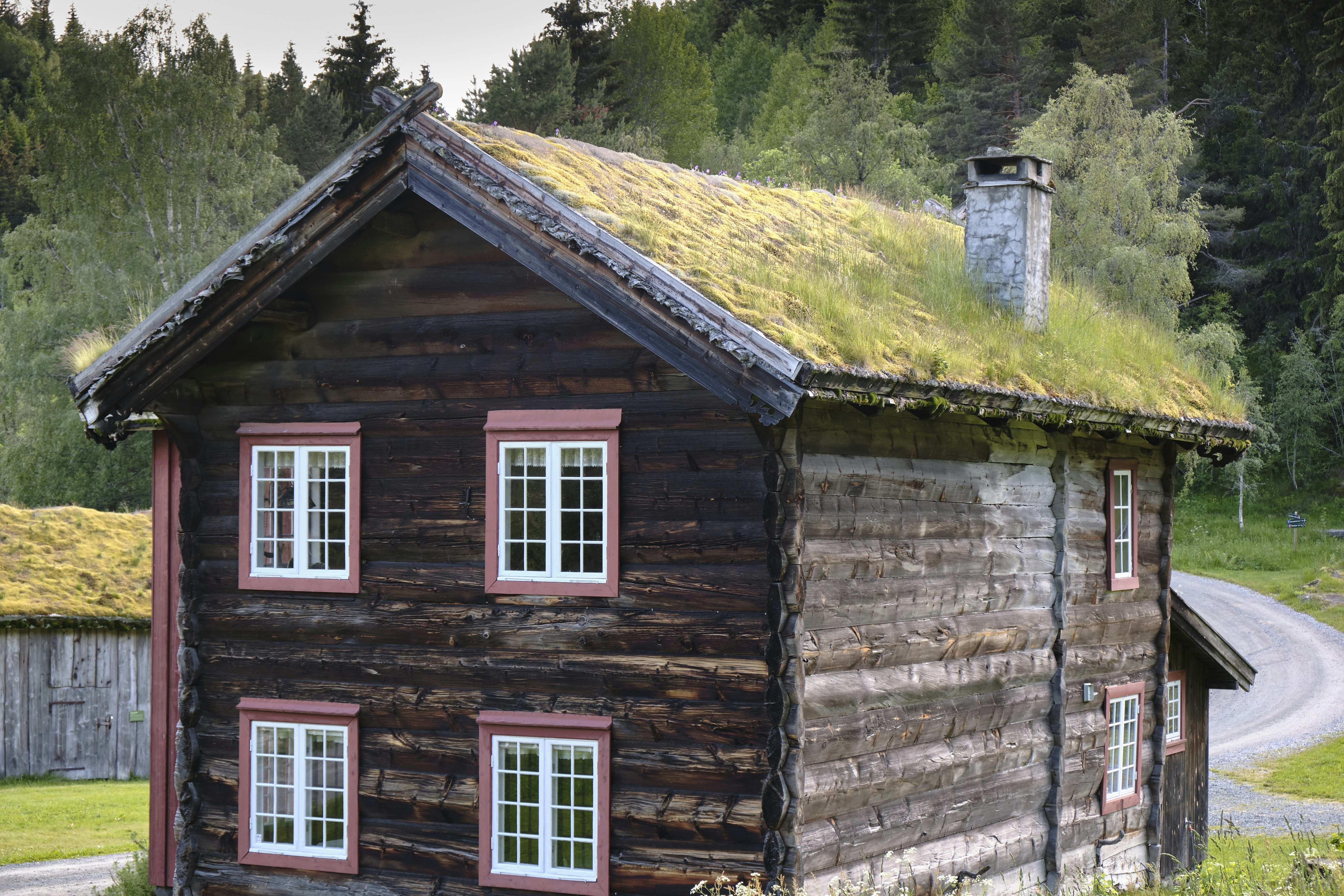 Photo by davotibarna