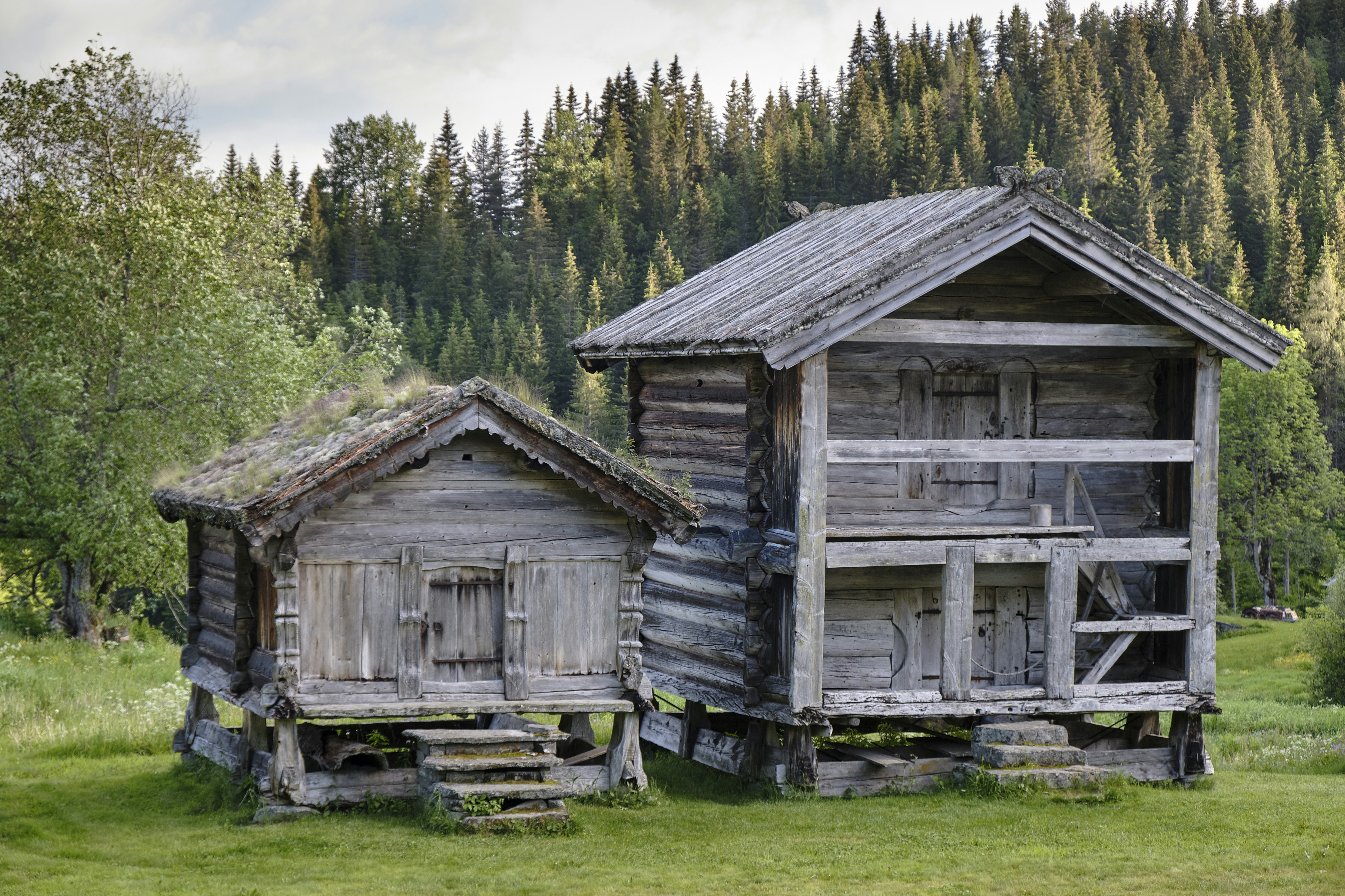 Photo by davotibarna