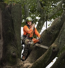 a man in a helmet sitting on a tree branch