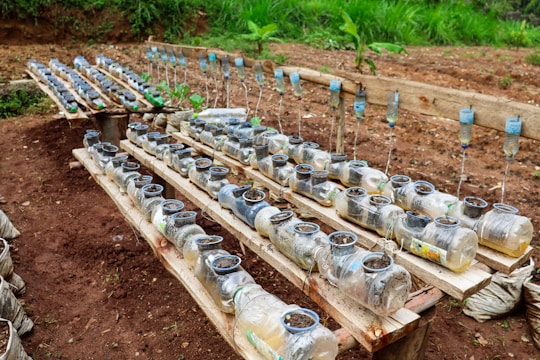 Rows of recycled plastic bottles are arranged horizontally and filled with soil, serving as makeshift planters. Each bottle is connected to a drip irrigation system made from additional plastic bottles suspended above, providing water to the plants growing inside. The setup appears to be in an outdoor garden area with dirt paths and green vegetation in the background.