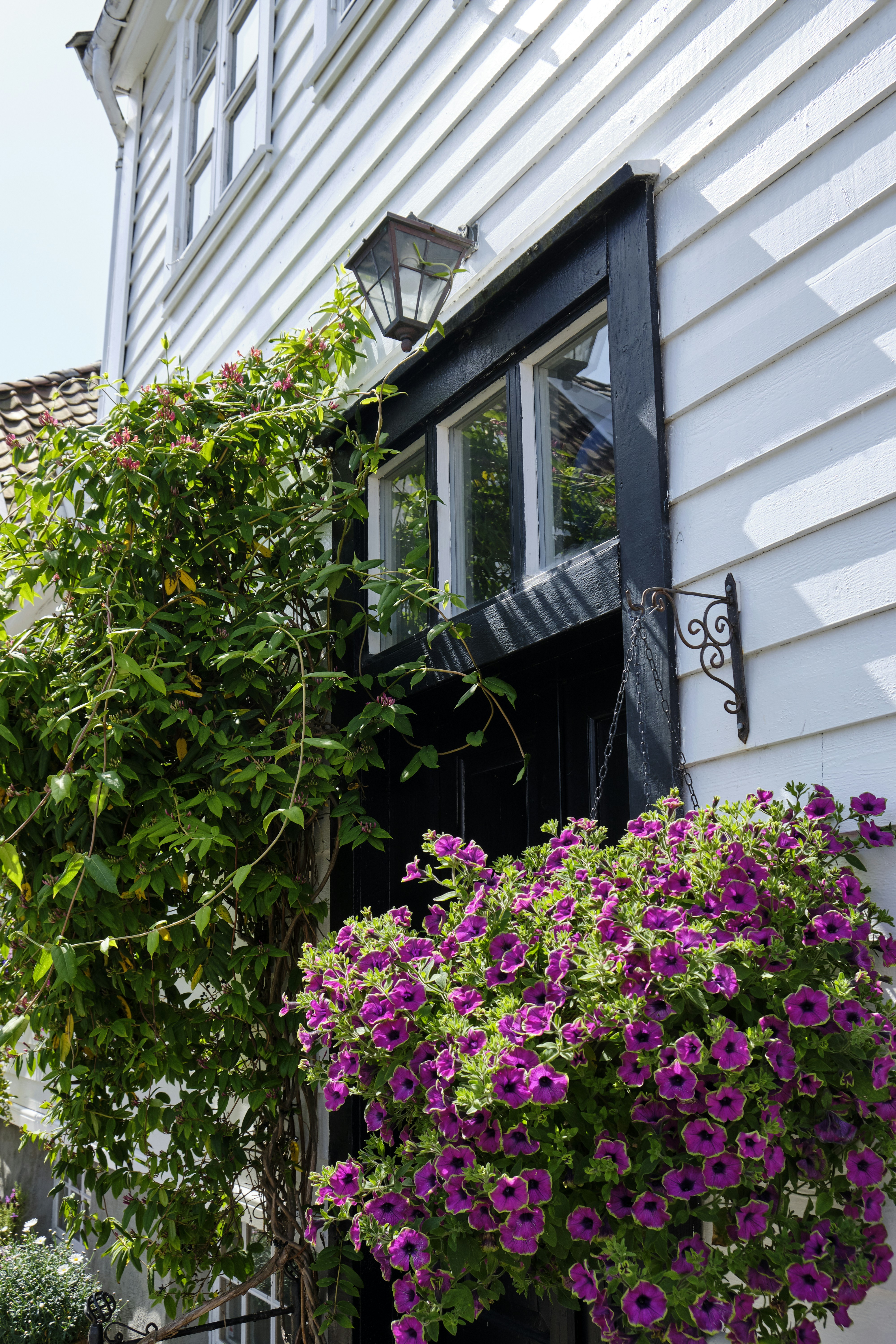 Photo by davotibarna