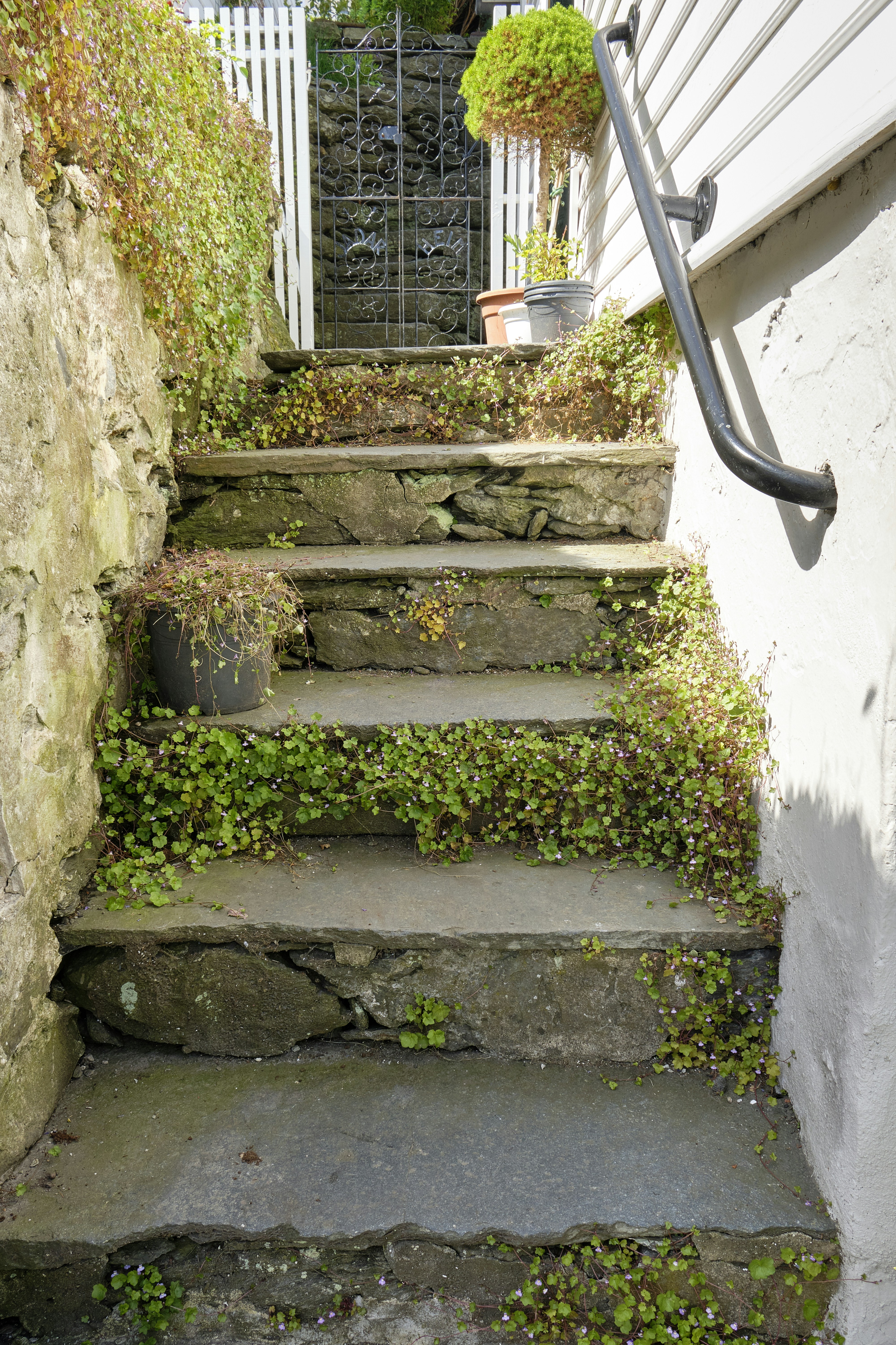 Photo by davotibarna