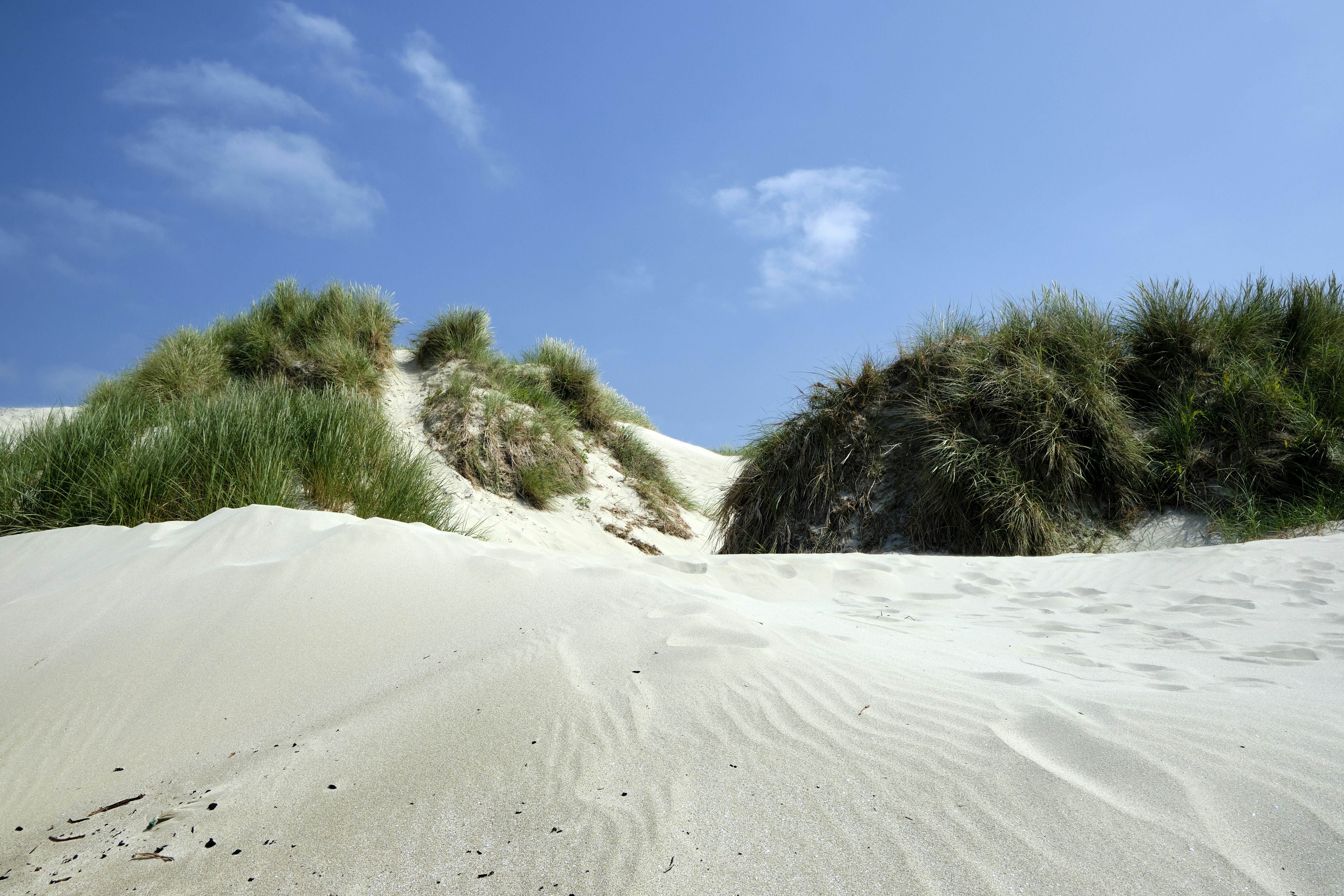 Photo by davotibarna