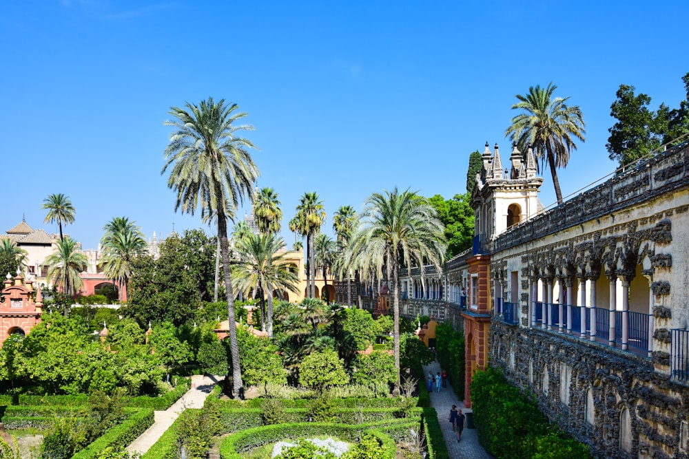 a garden with trees and bushes