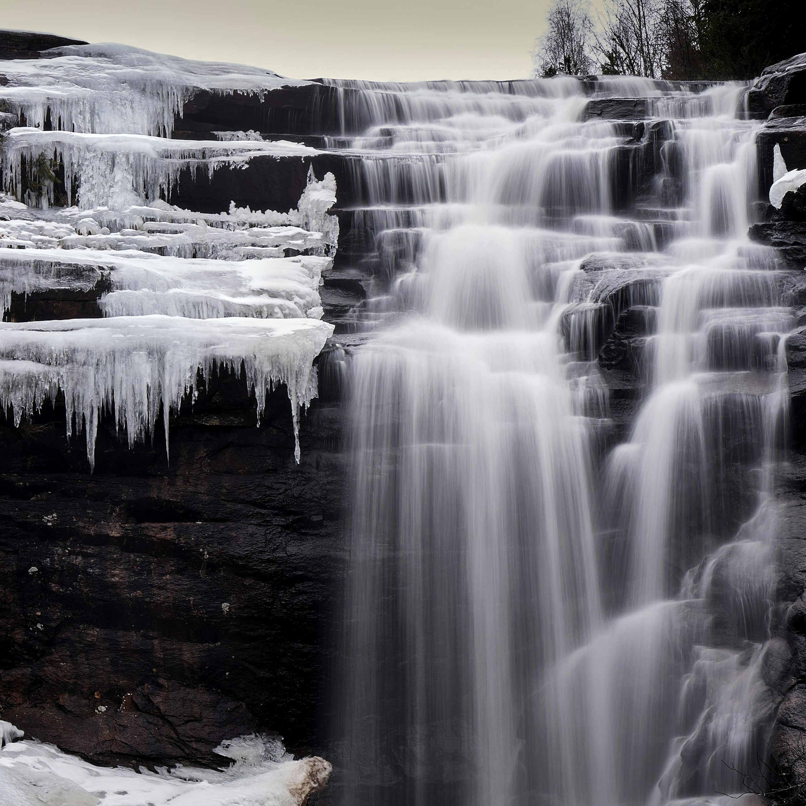 Photo by davotibarna