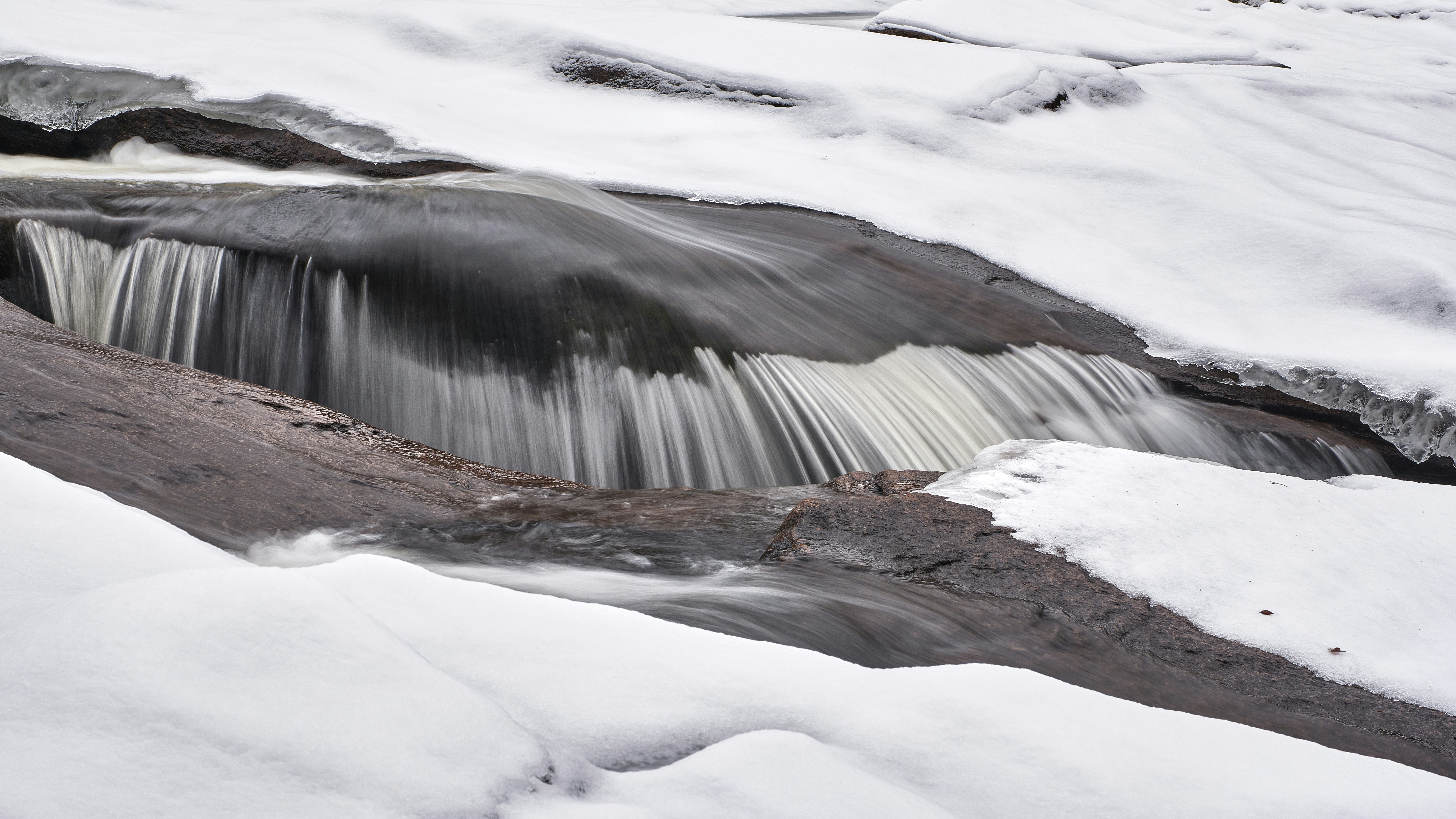 Photo by davotibarna