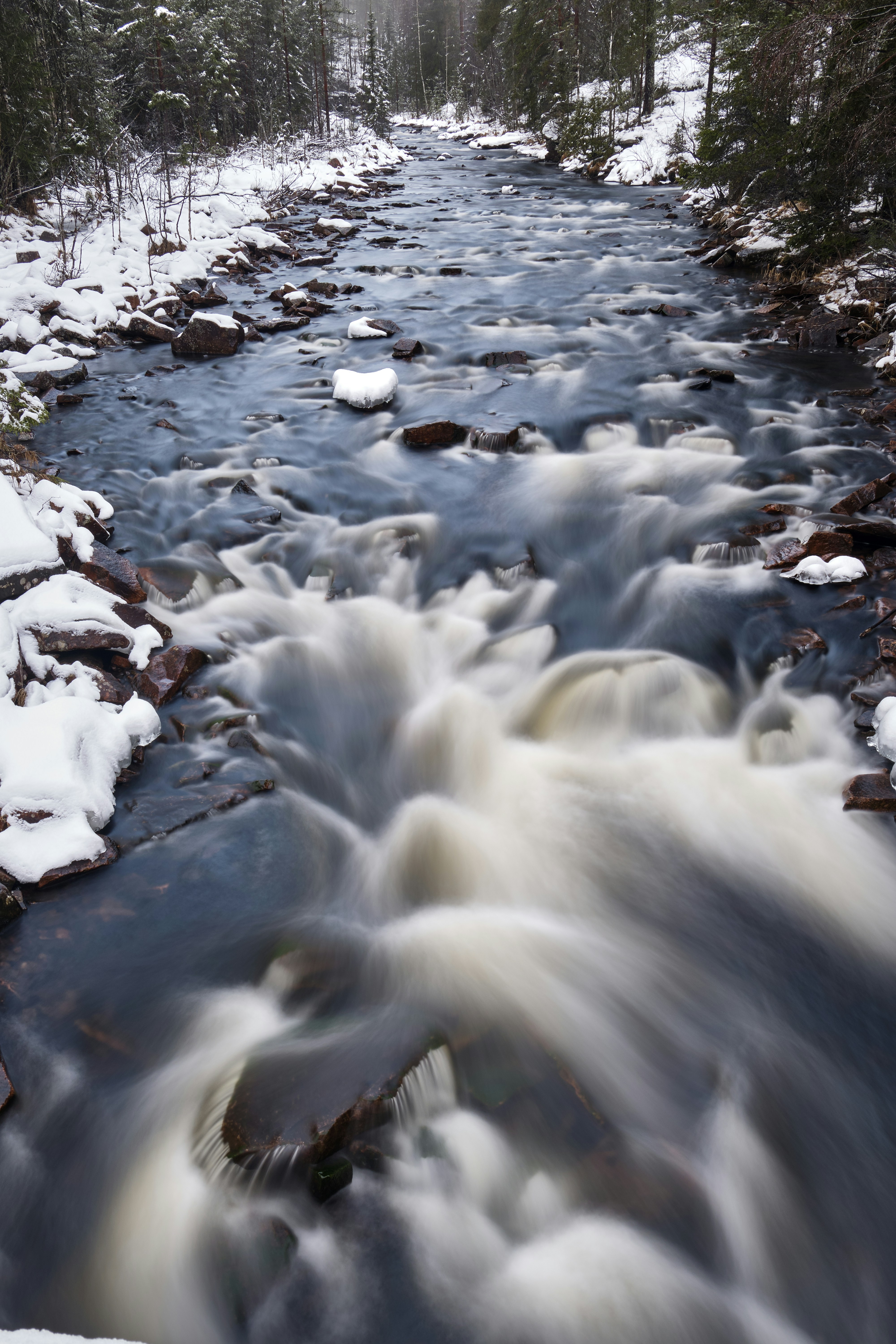 Photo by davotibarna