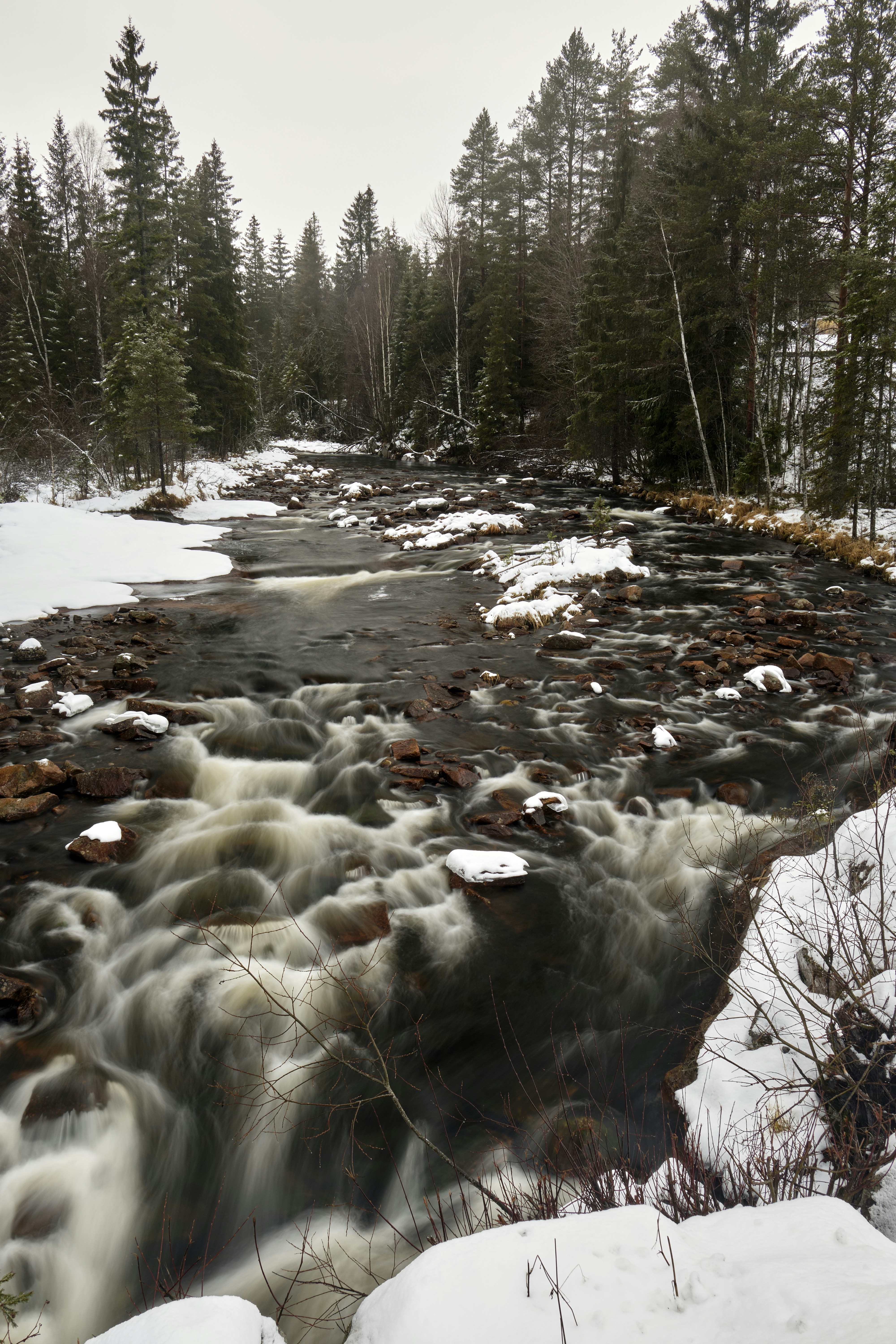 Photo by davotibarna