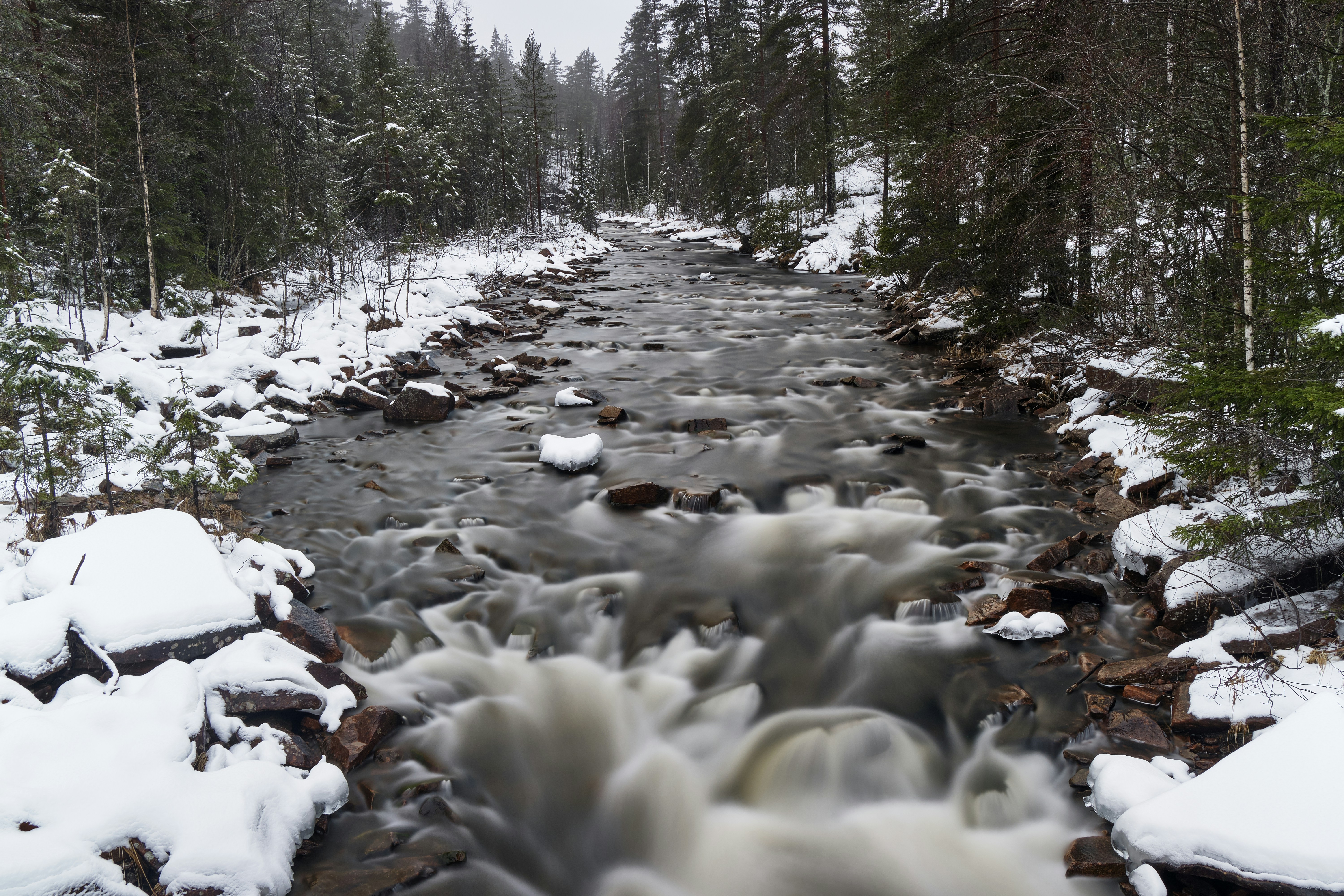 Photo by davotibarna