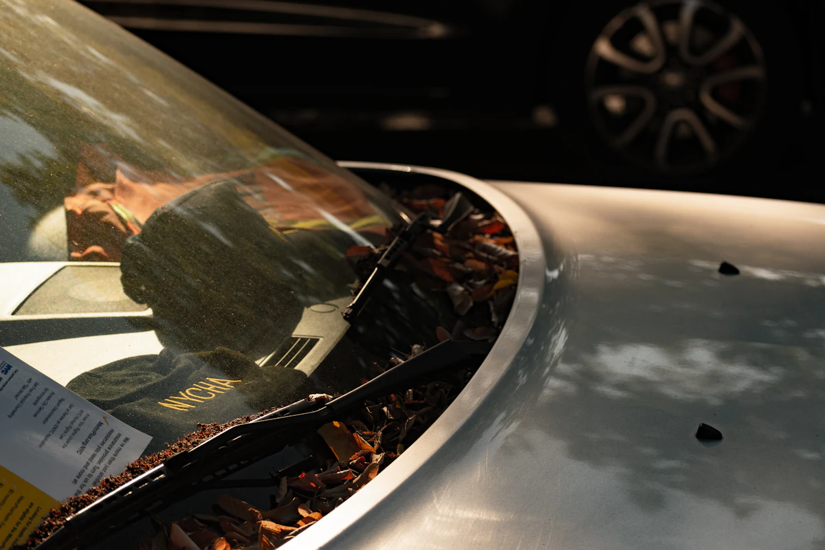 windshield chip