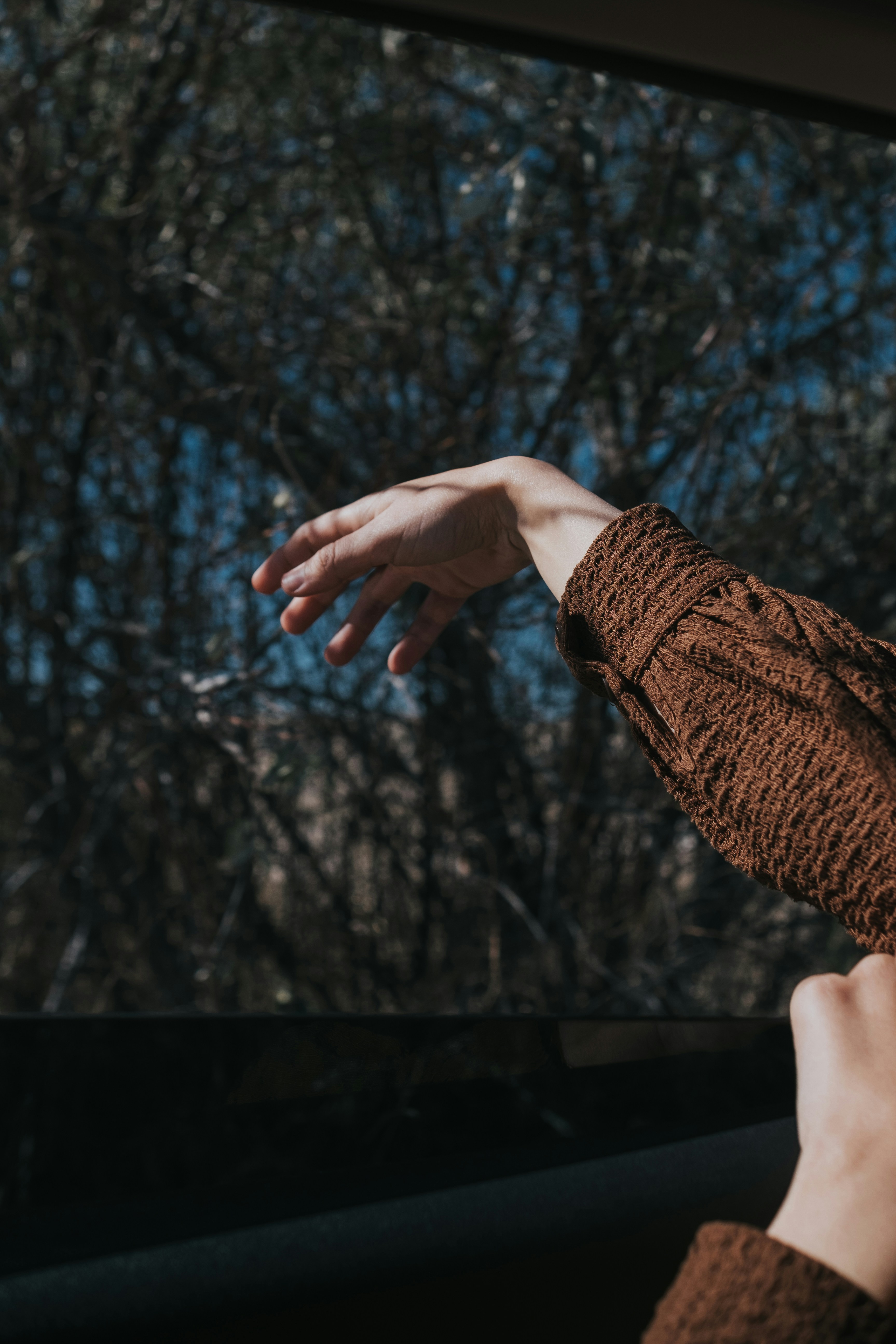 Photo by feyzayildirim