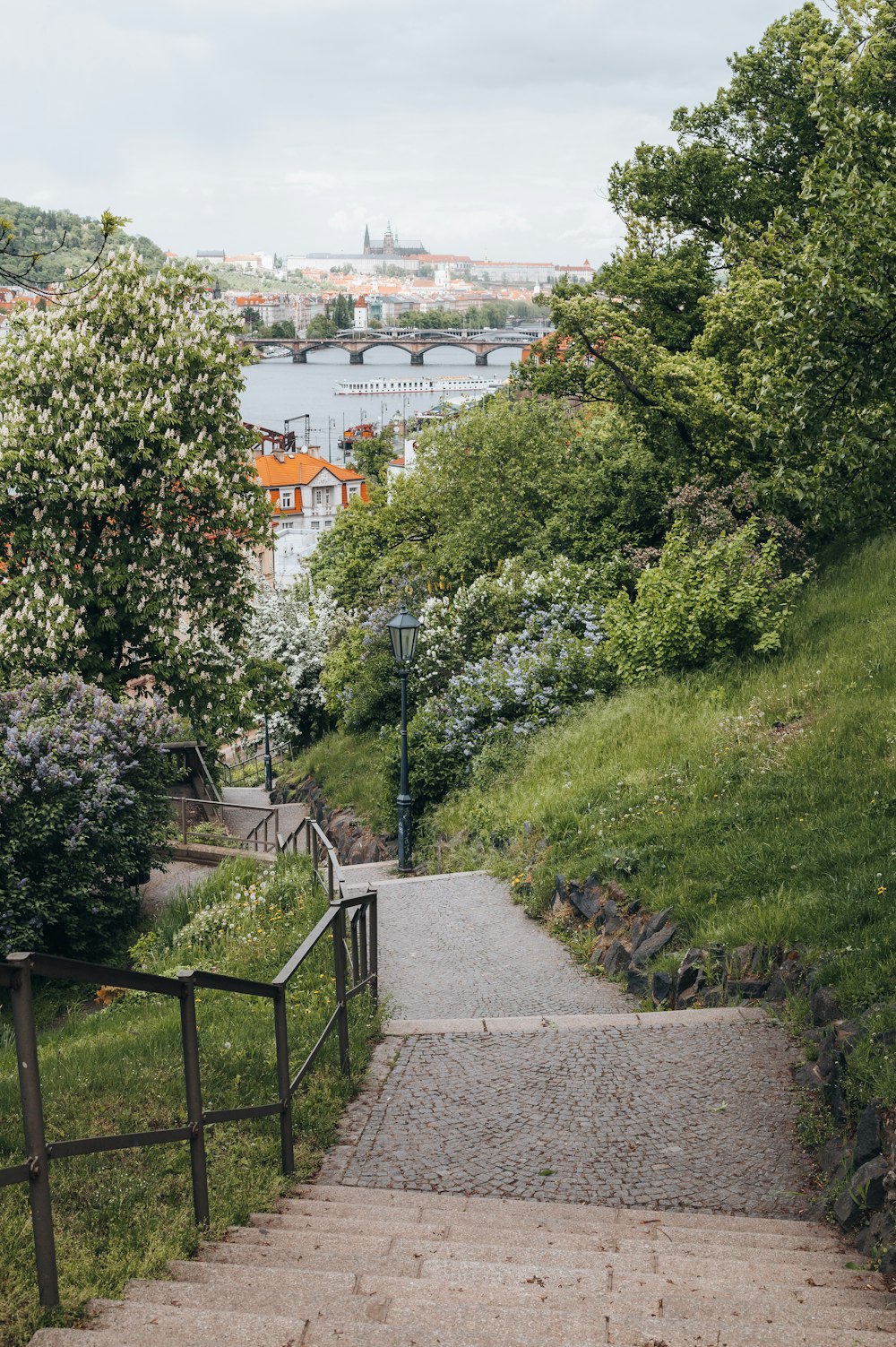 a path with a bridge and trees on the side