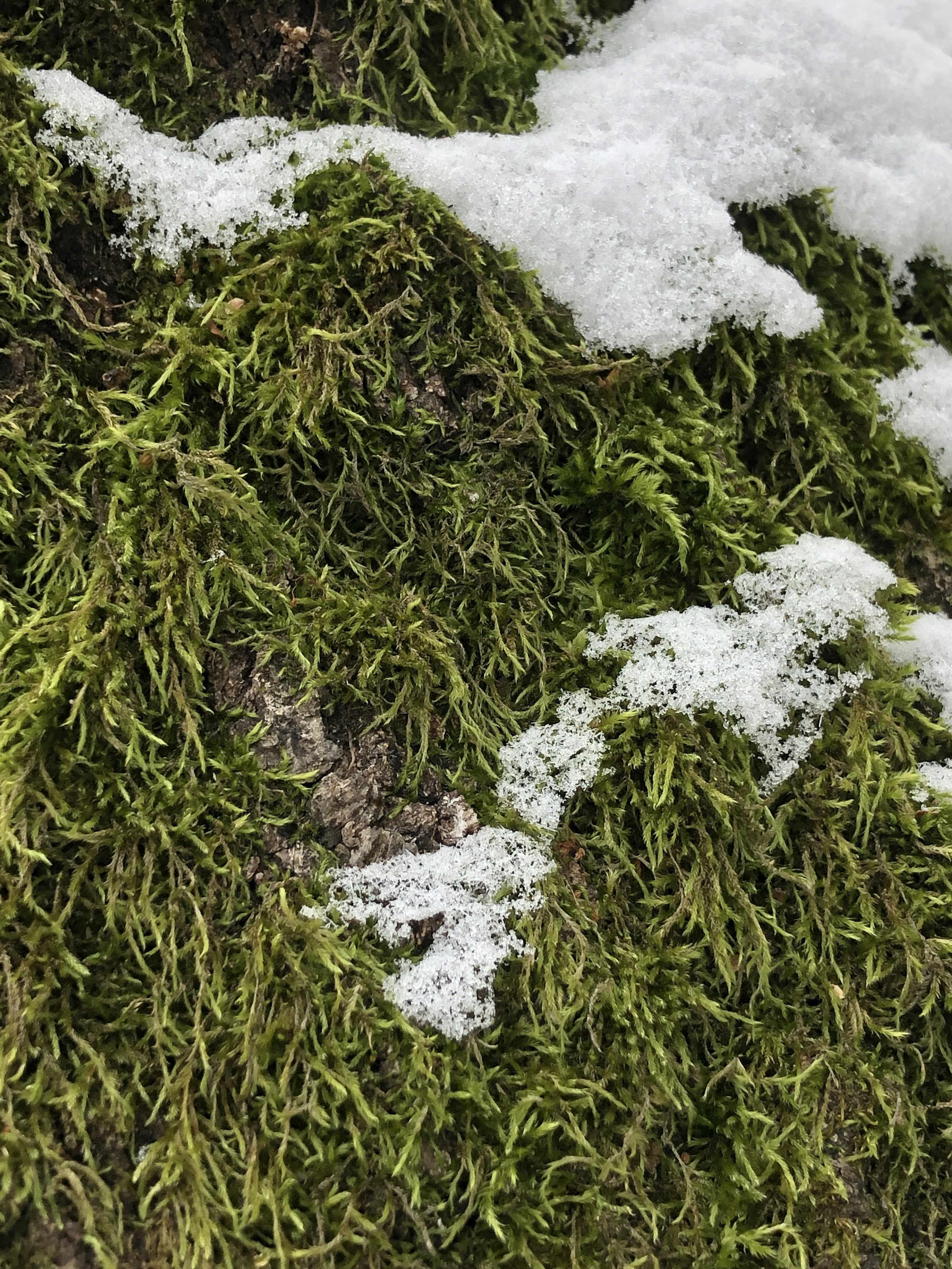 Photo by inna_lobacheva