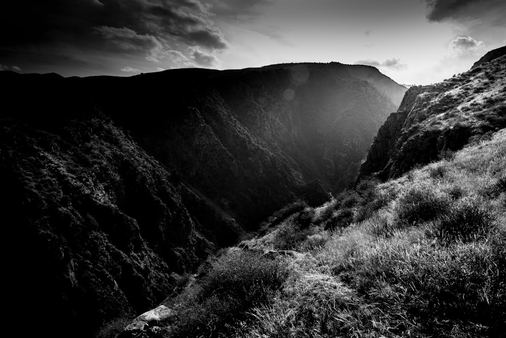 a mountain range with trees