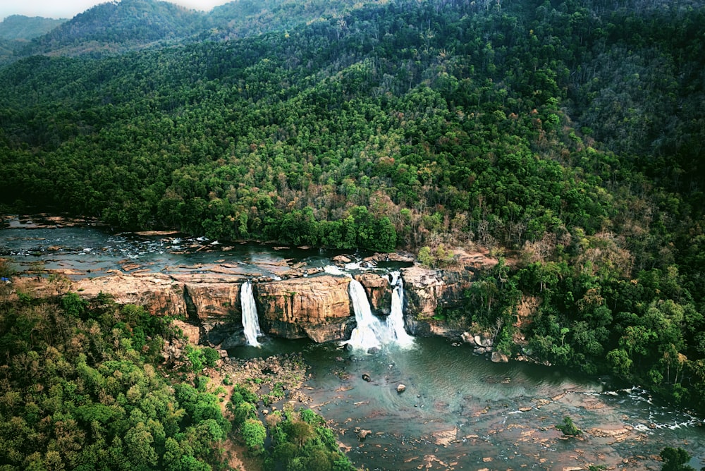 Nohkalikai Falls in a forest