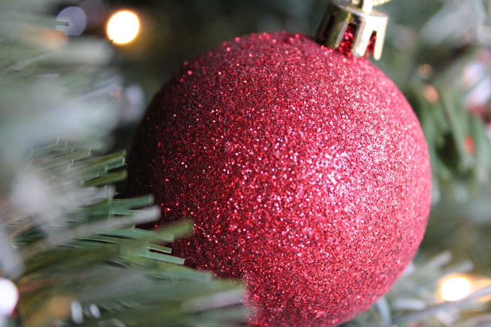 Una bola roja en un árbol