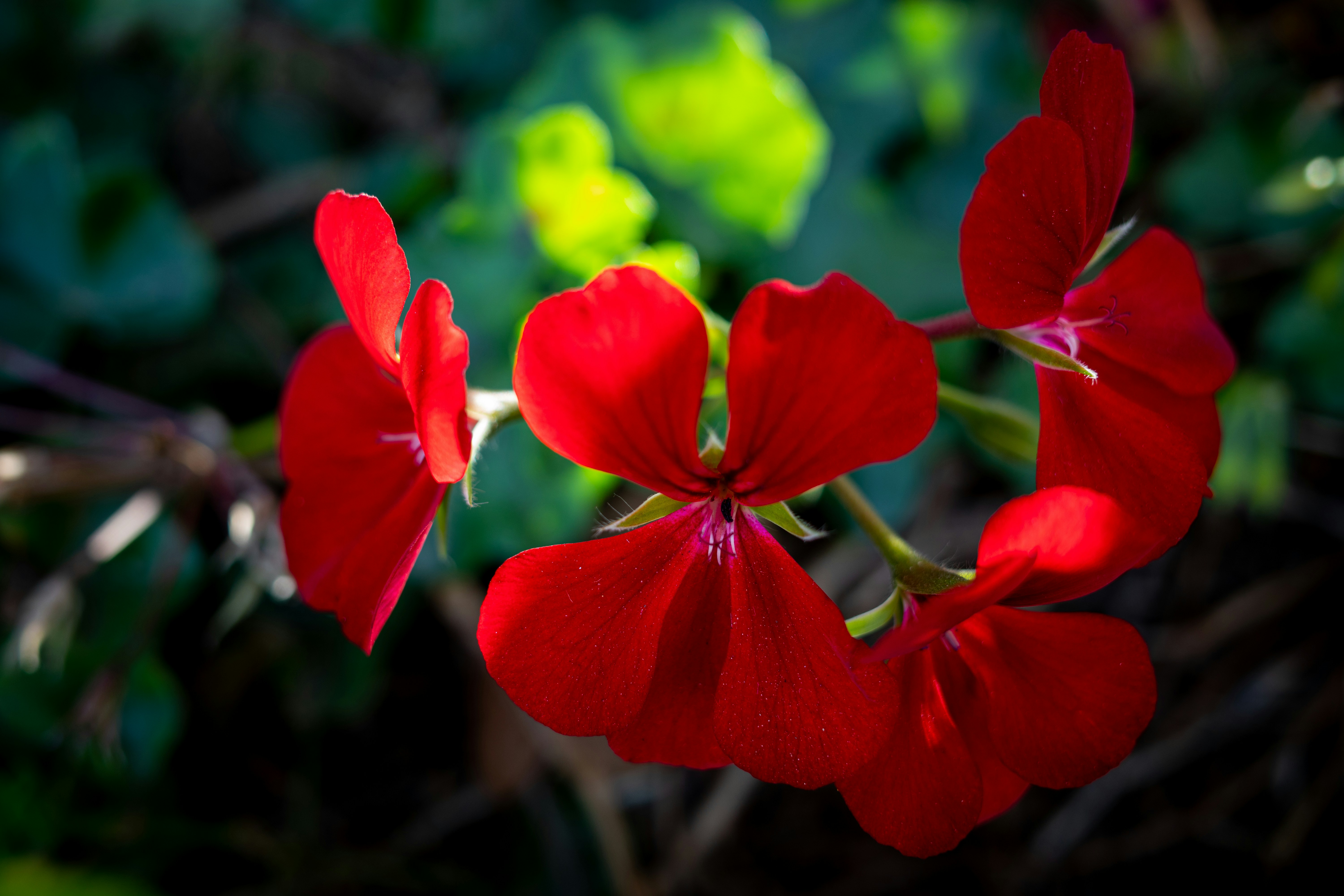 Photo by april_vasquez