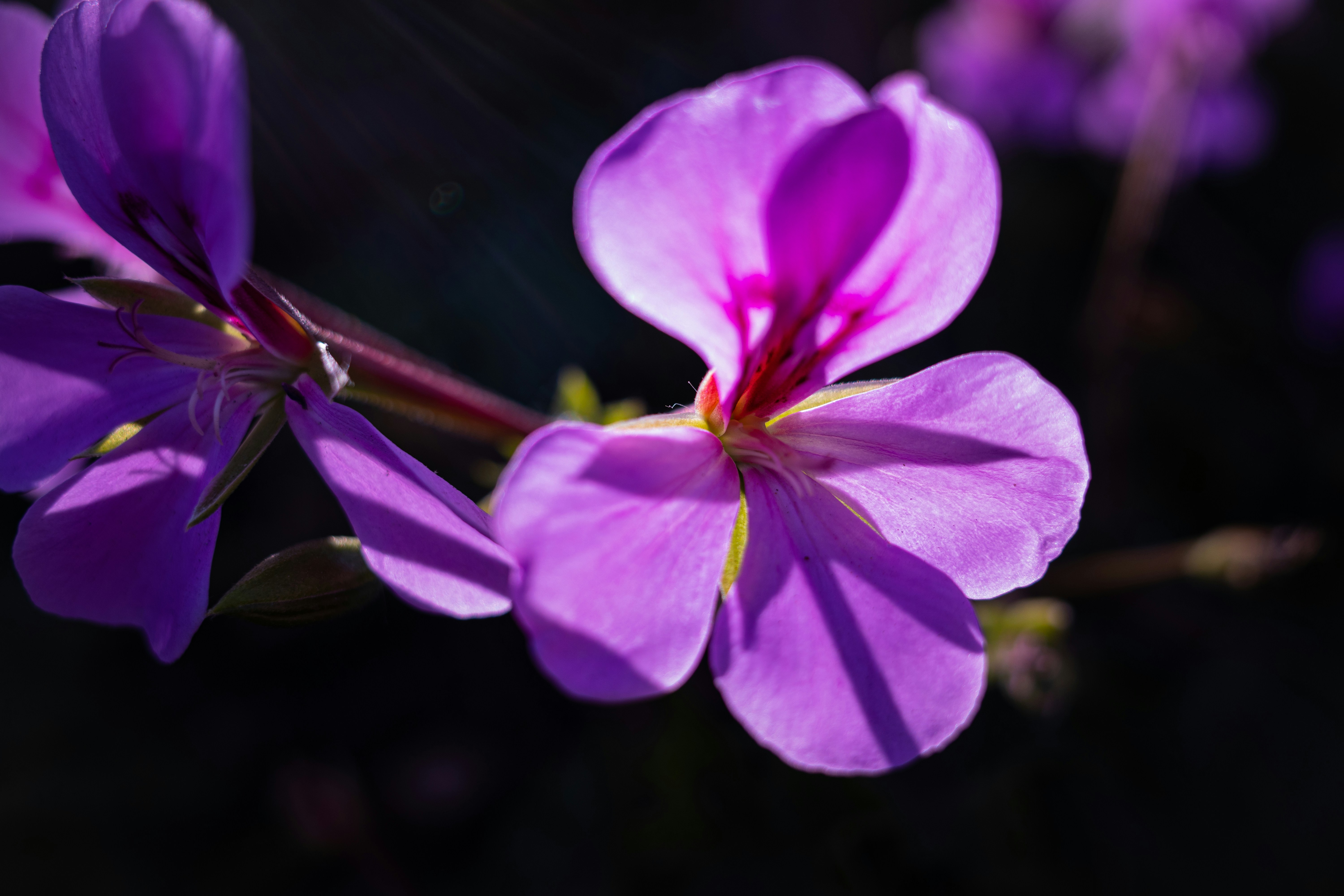 Photo by april_vasquez