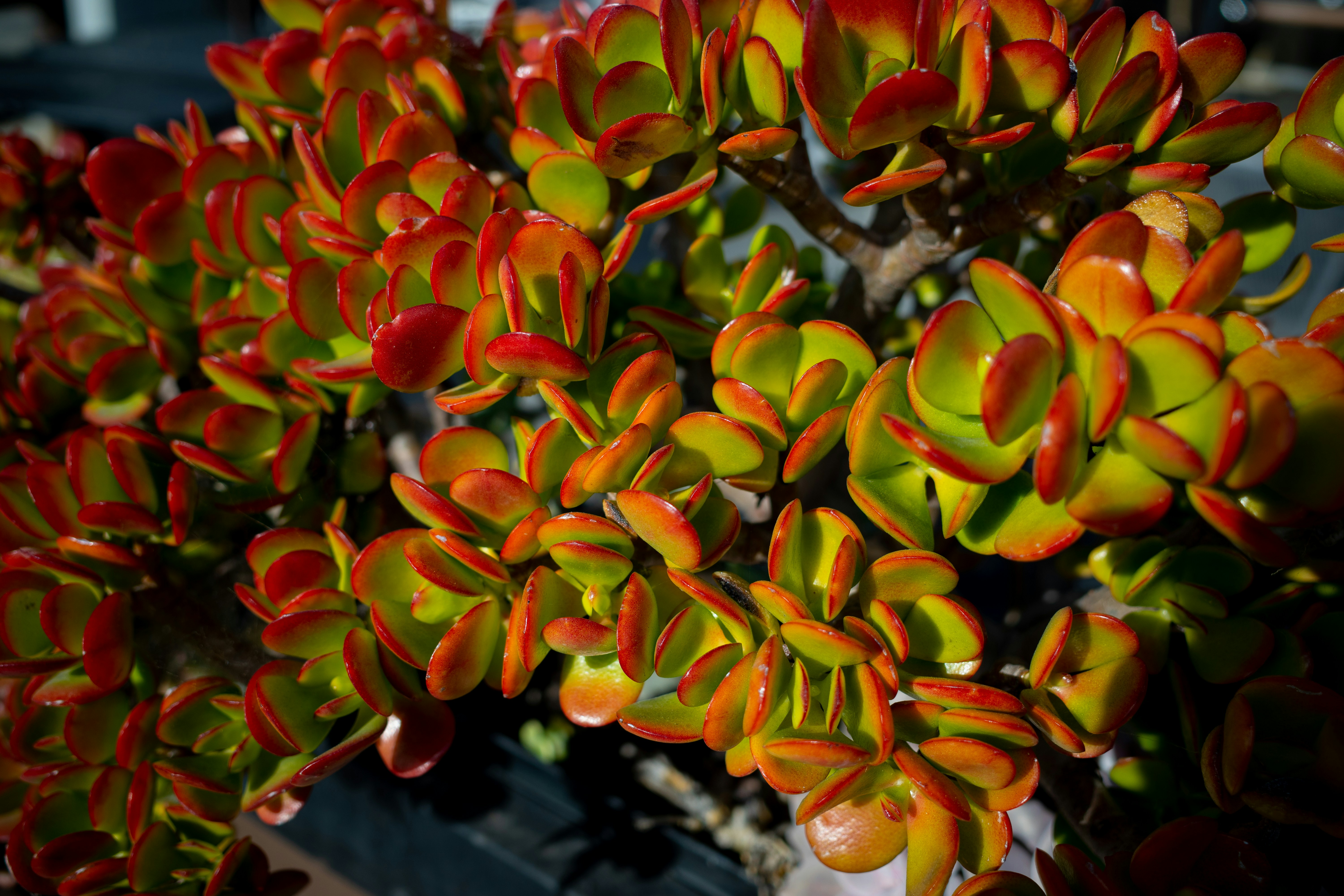 Photo by april_vasquez