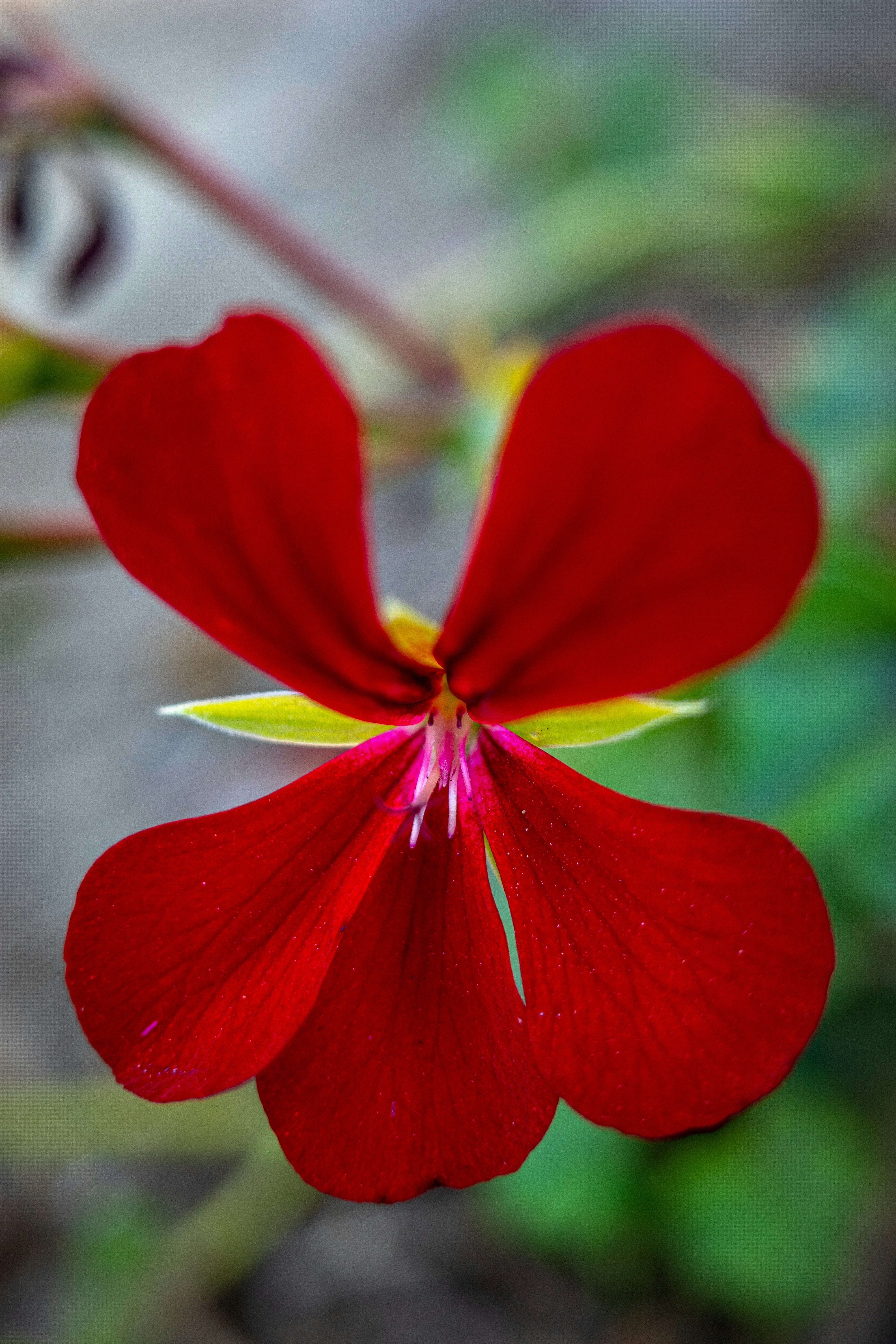 Photo by april_vasquez