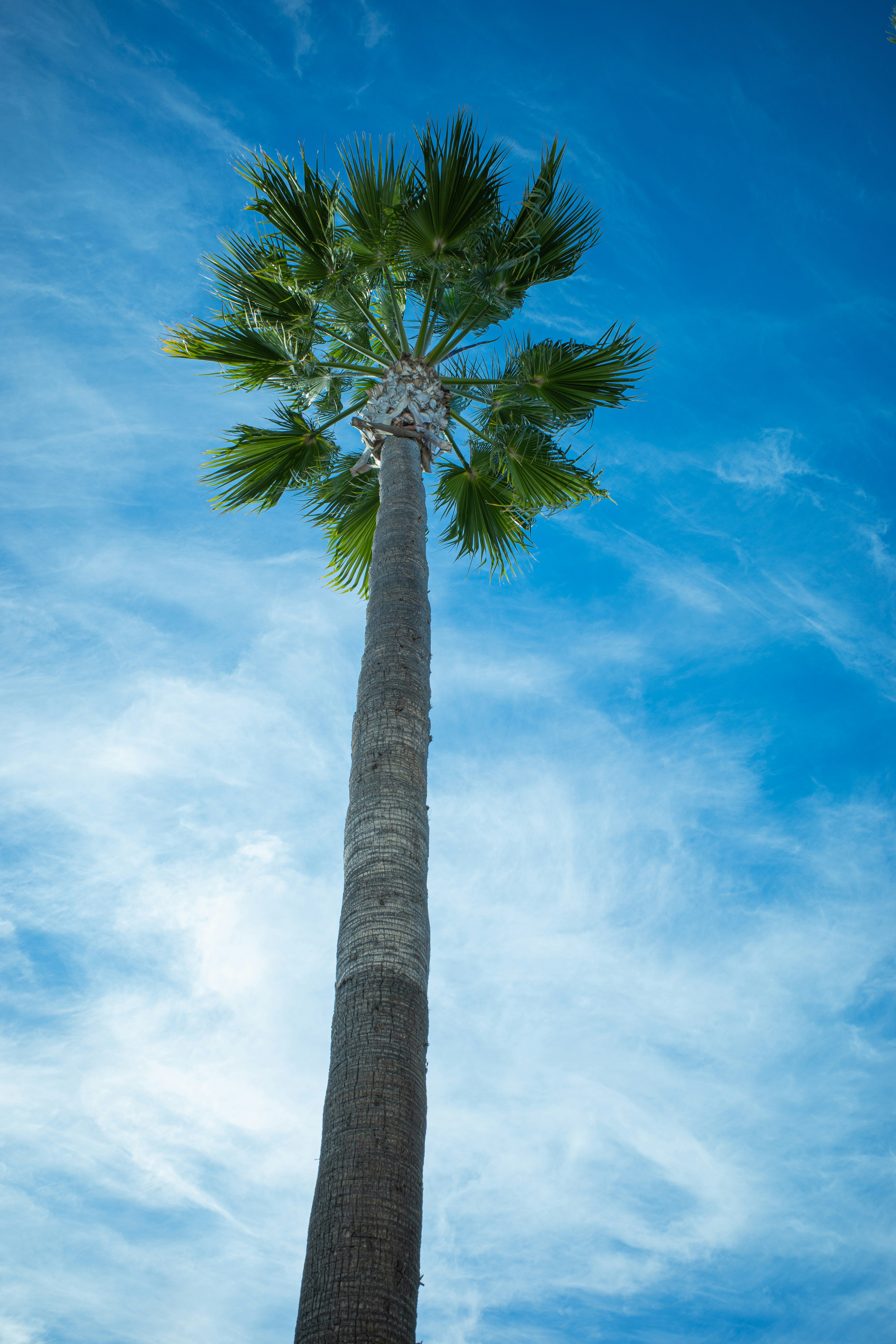 Photo by april_vasquez