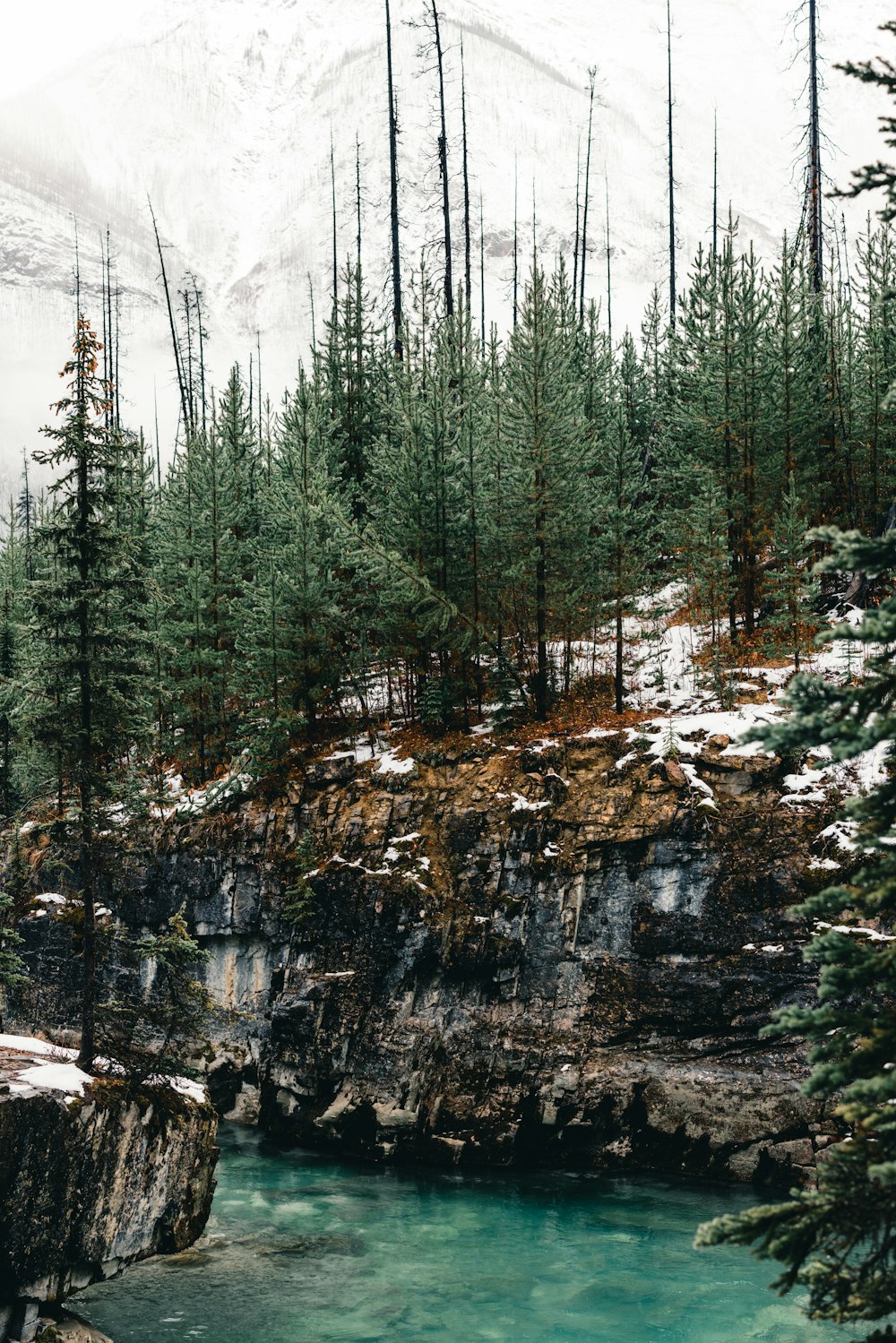 Ein Fluss mit Bäumen an der Seite