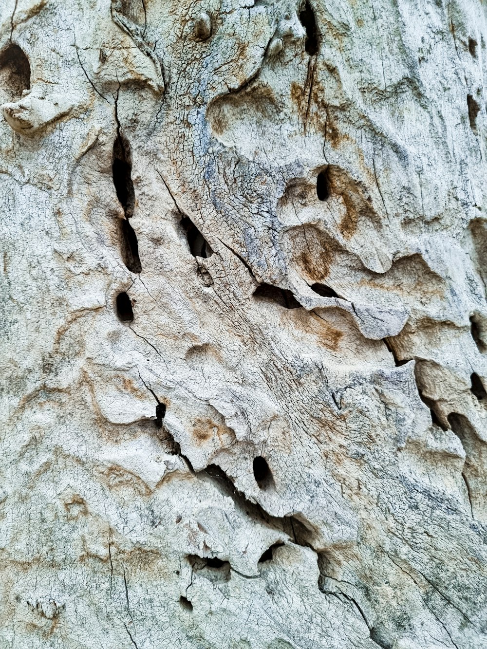 a close-up of a rock