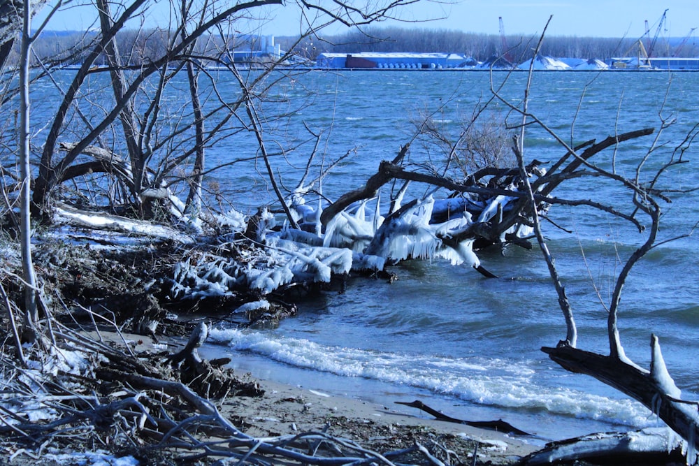 a frozen lake with ice and trees